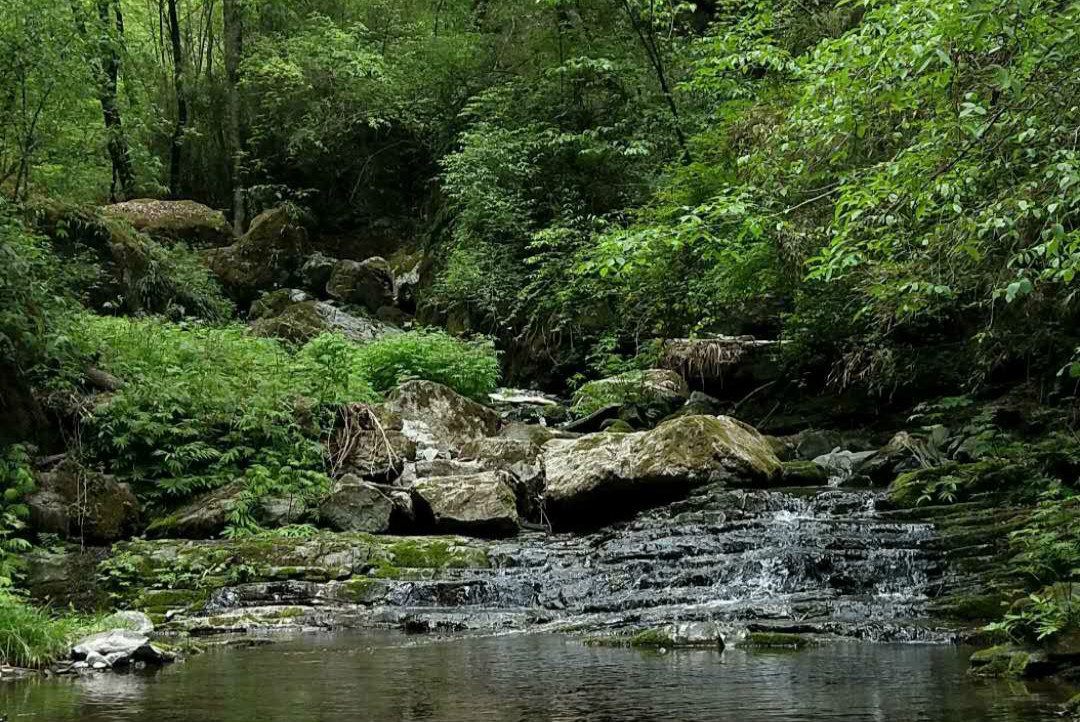 【鋼城文苑】五龍洞游記 【鋼城文苑】五龍洞游記