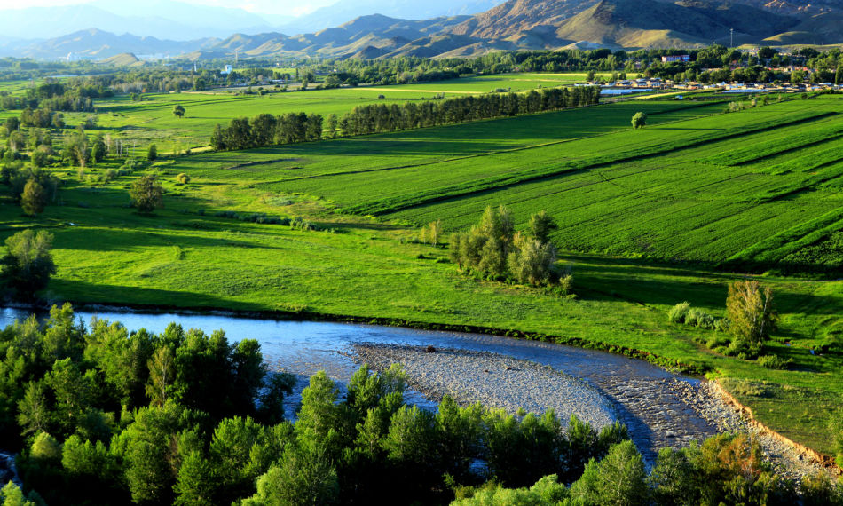 【鋼城文苑】故鄉的記憶