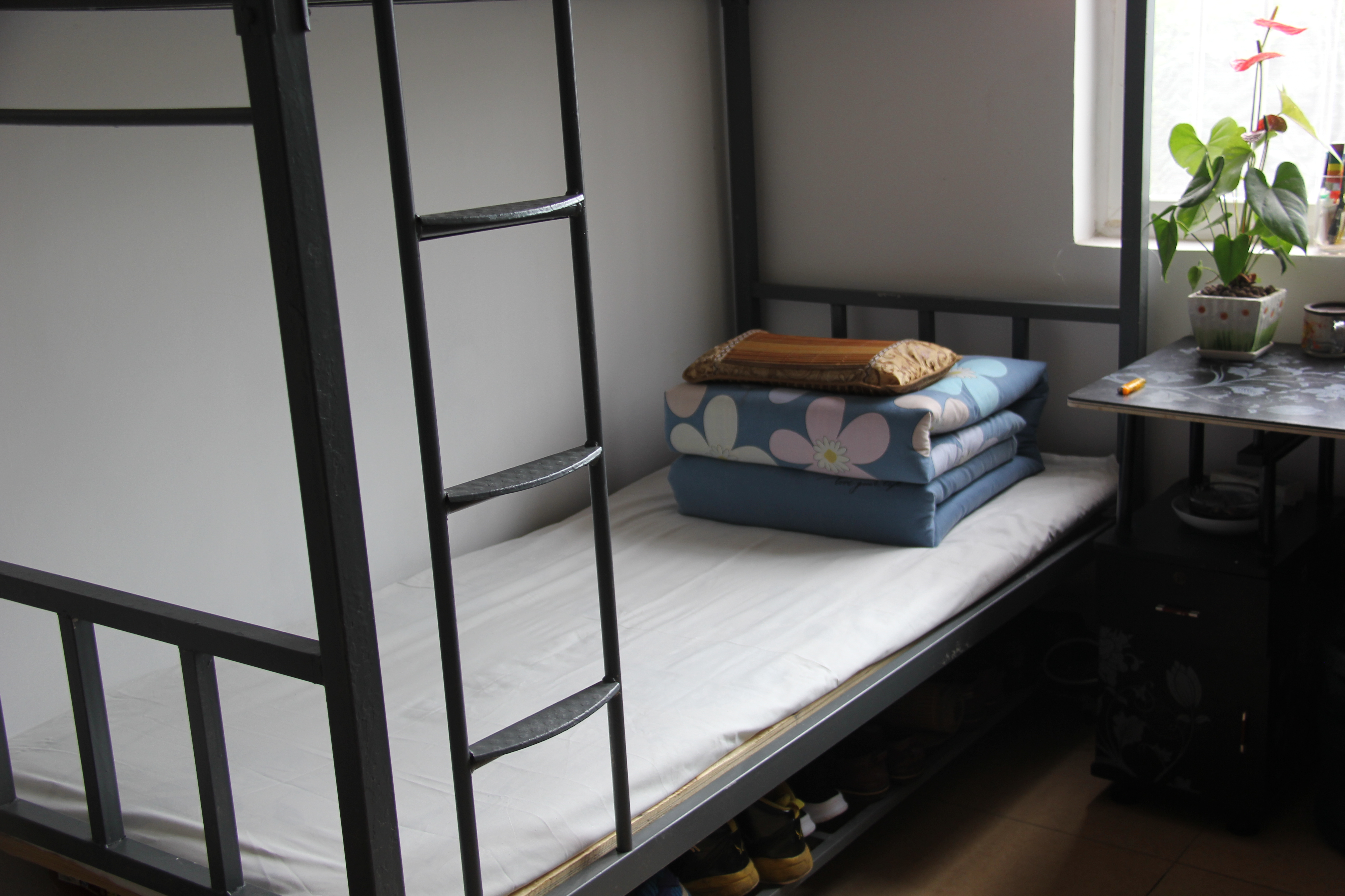 �����ӄӑB�����κ��ڲ�2019���ϰ��ꡰ�Ӱ����ᡱ�u�Ȼ�ӈA�M�Y��