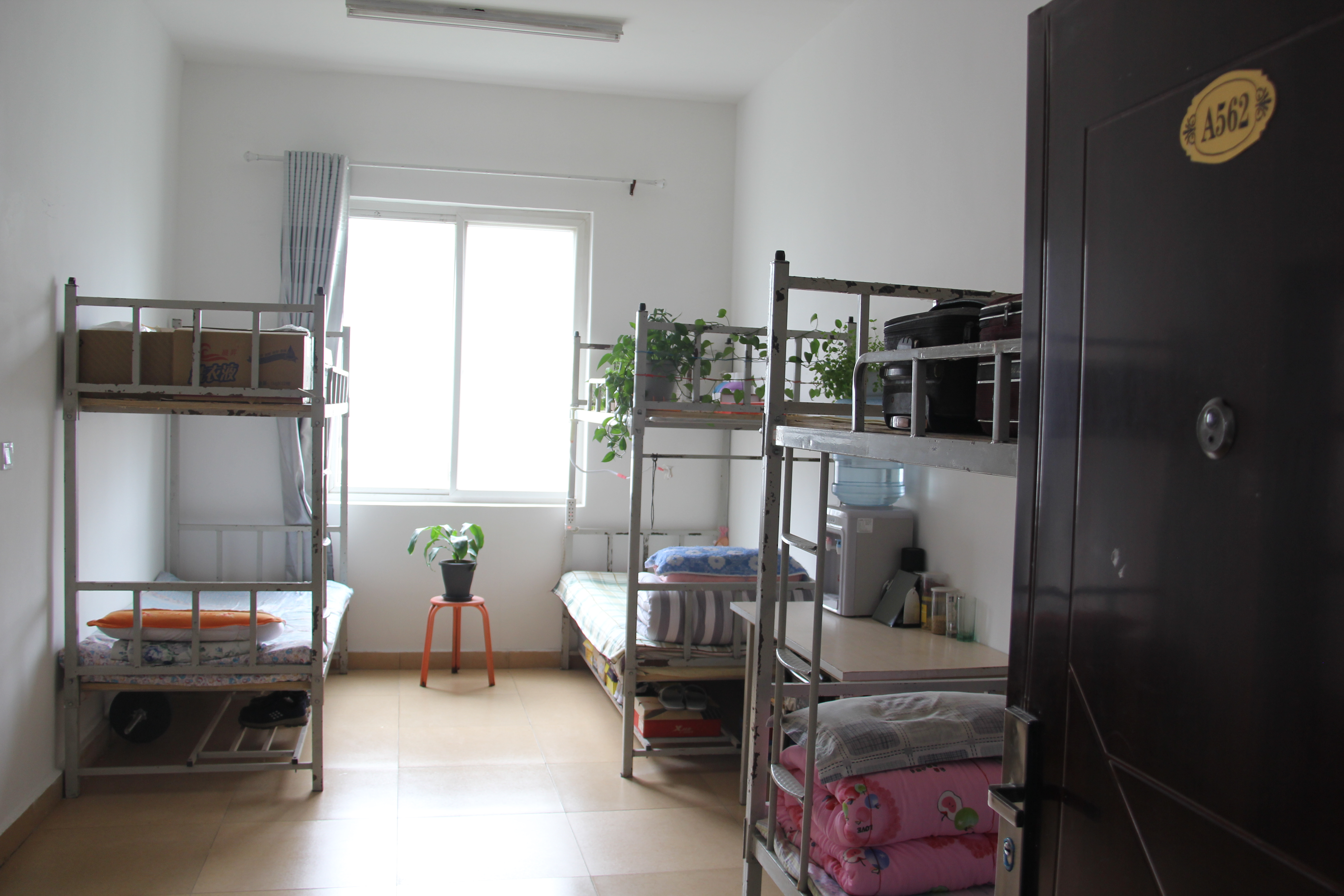 �����ӄӑB�����κ��ڲ�2019���ϰ��ꡰ�Ӱ����ᡱ�u�Ȼ�ӈA�M�Y��