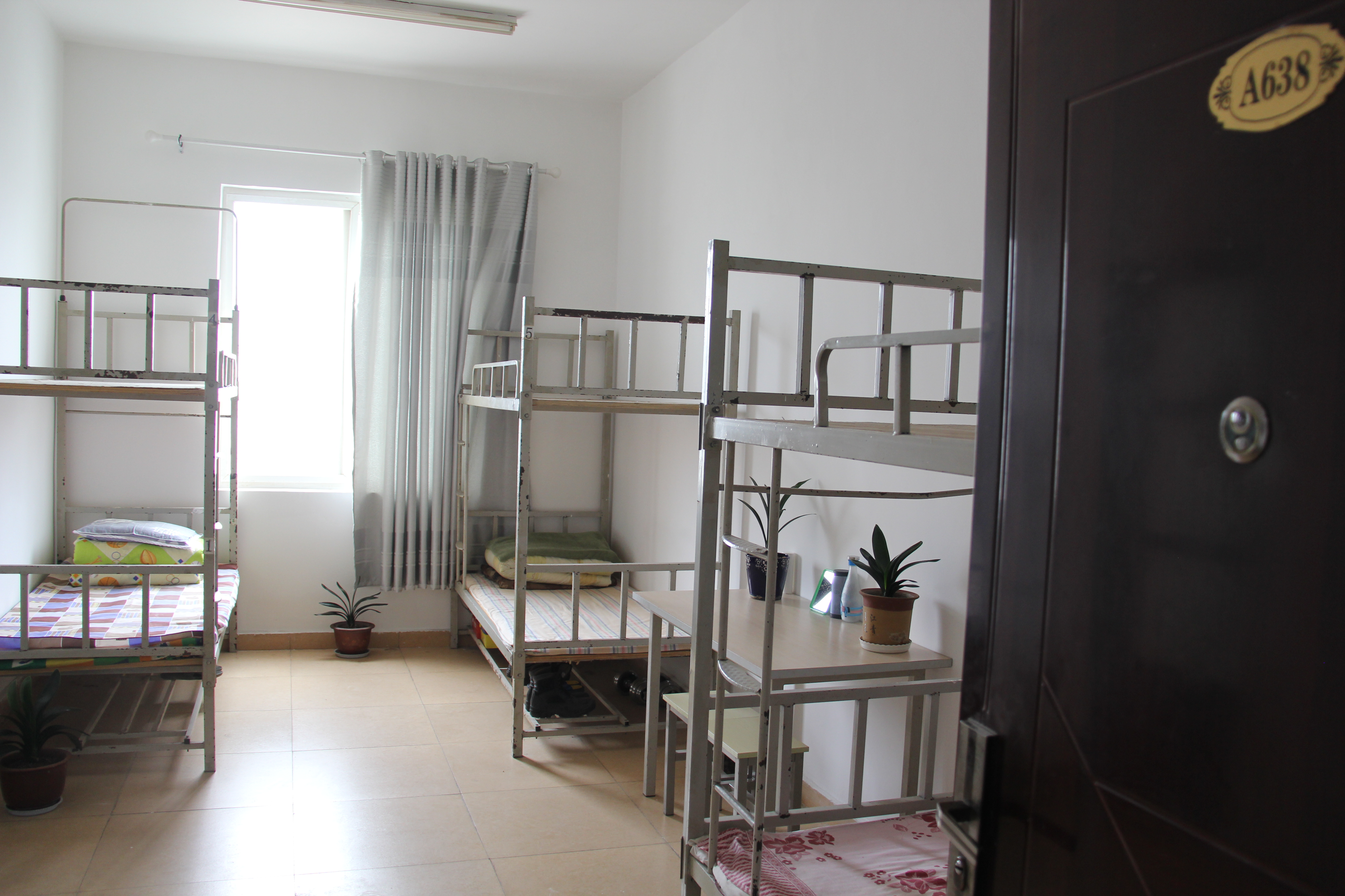 �����ӄӑB�����κ��ڲ�2019���ϰ��ꡰ�Ӱ����ᡱ�u�Ȼ�ӈA�M�Y��