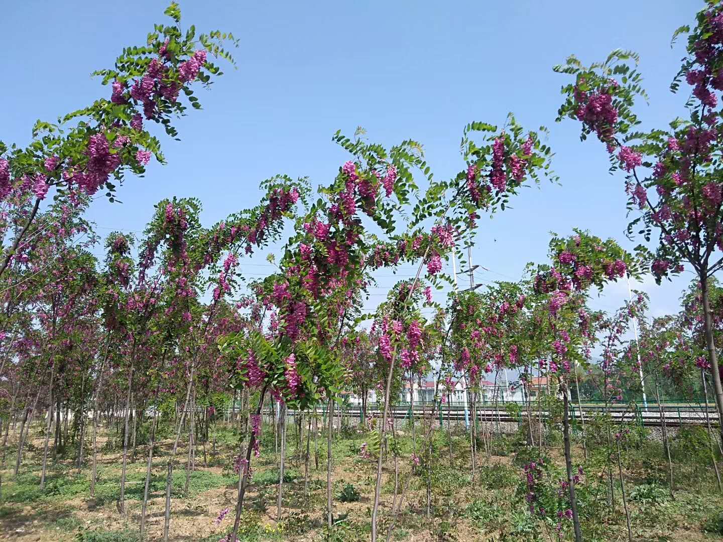 ��䓳���Է��䓳ǻ��@���ҡ��ҡ�