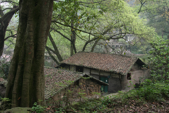 【鋼城文苑】老屋