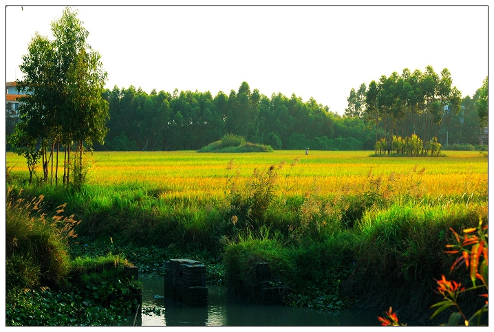 【鋼城文苑】金秋時節 【鋼城文苑】金秋時節