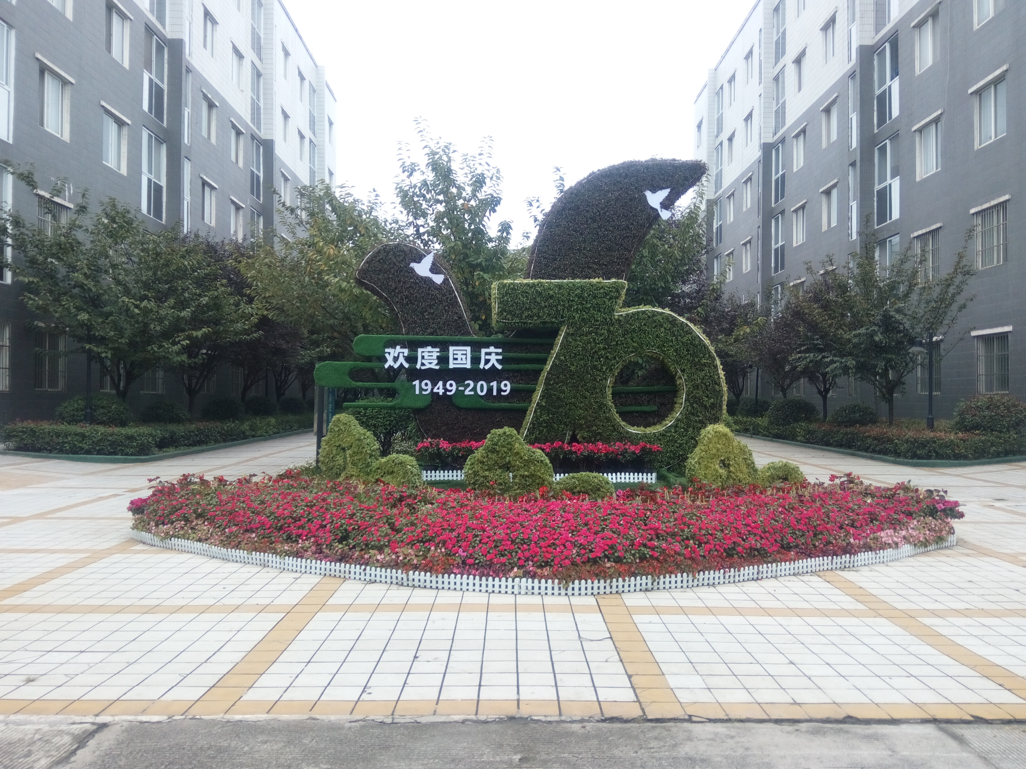 �����ӄӑB�����κ��ڲ���ӭ���c�����������������ߌá��䓱���������_