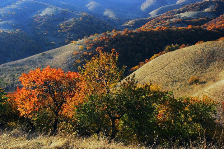 【鋼城文苑】秋感 【鋼城文苑】秋感