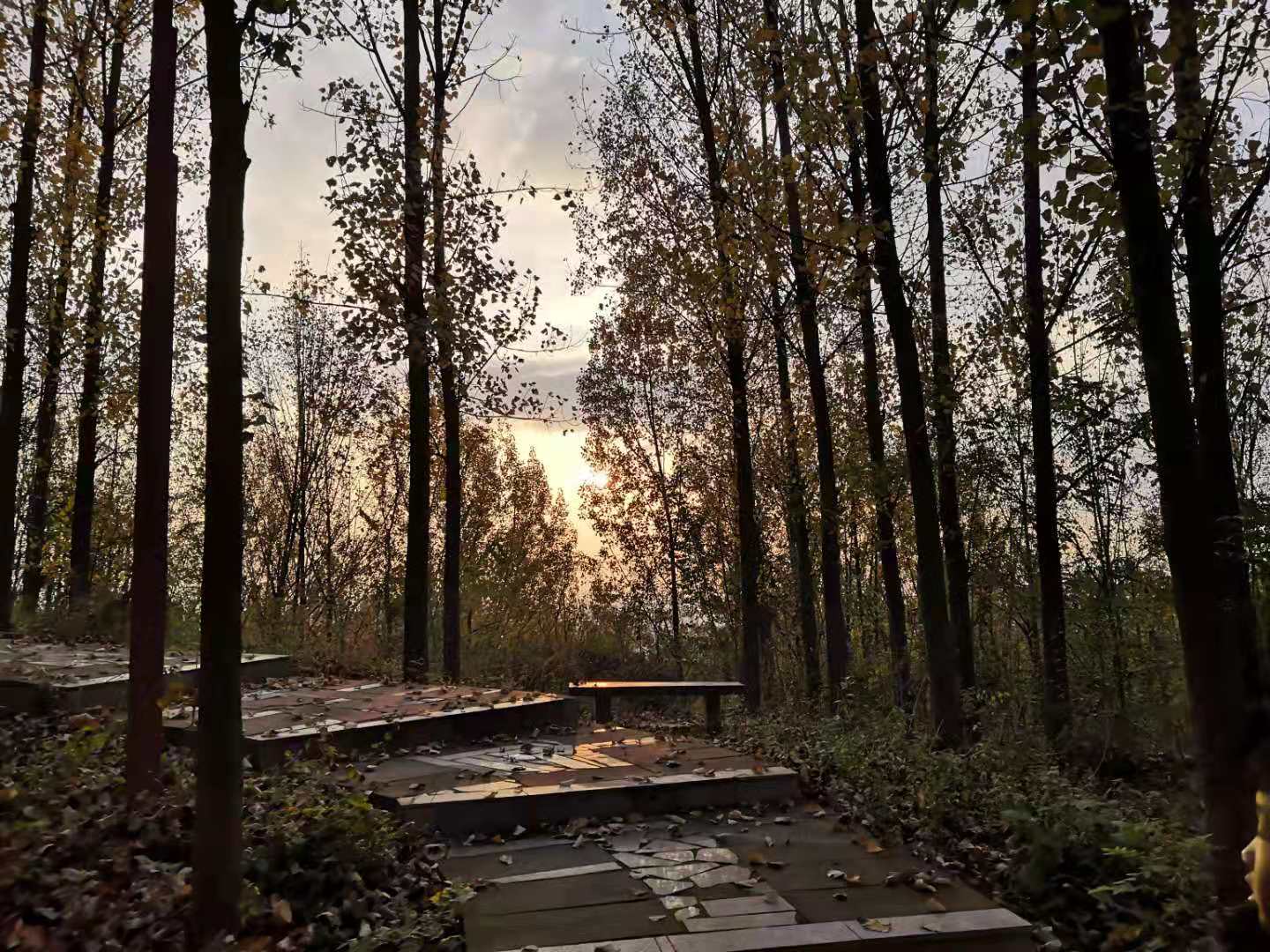 ��䓳���Է���h��֮��