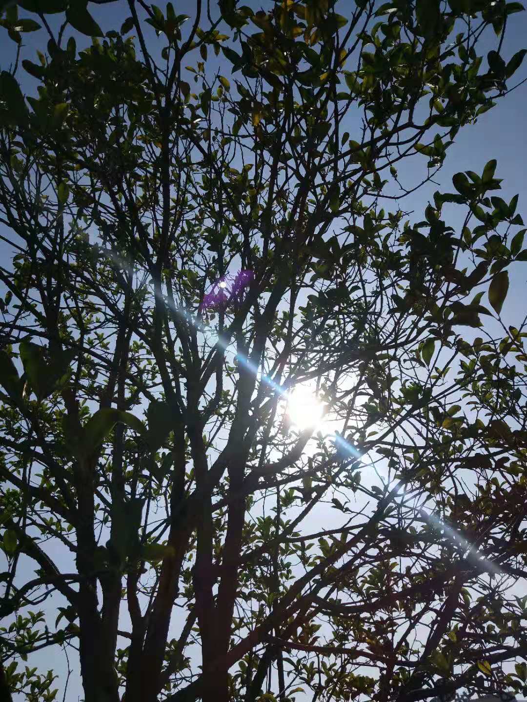 ��䓳���Է��ů�(y��ng)