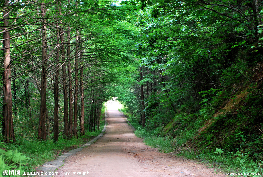【鋼城文苑】家鄉的那條小路