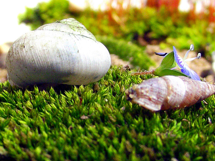 ��䓳���Է�������o��