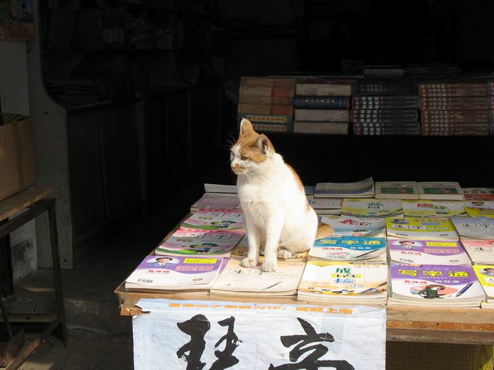 【鋼城文苑】老周和他的書報攤 【鋼城文苑】老周和他的書報攤