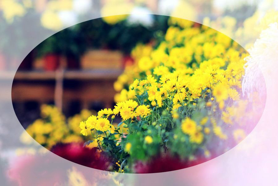 ��䓳���Է���˵����