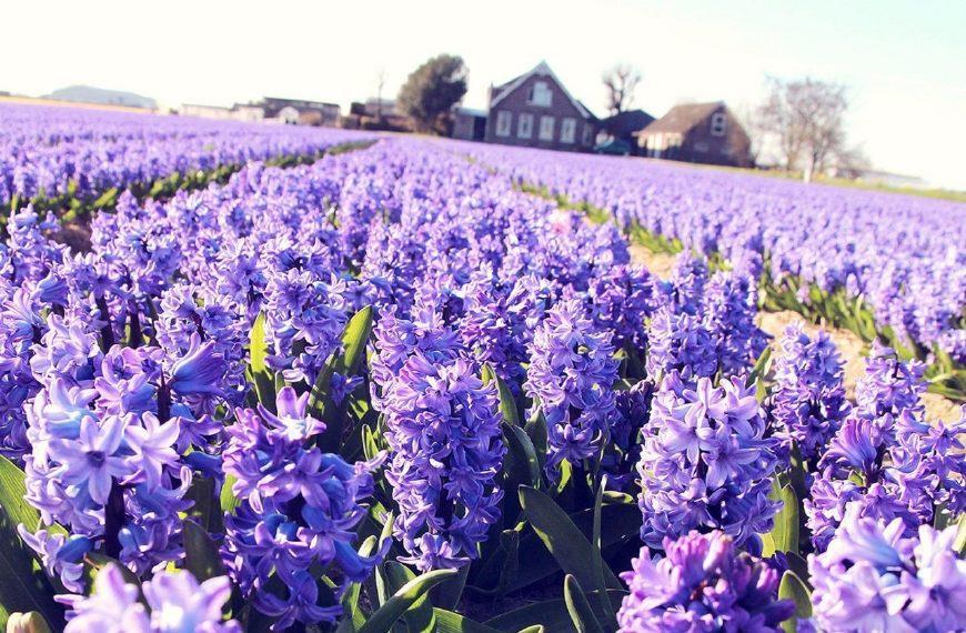 【鋼城文苑】做一個積極樂觀的自己 【鋼城文苑】做一個積極樂觀的自己