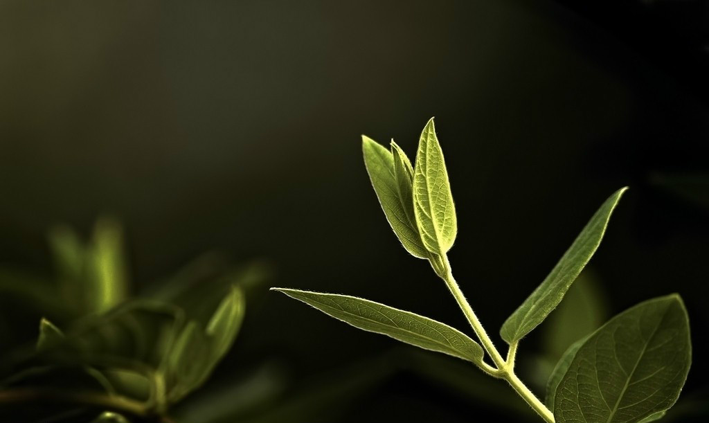 【鋼城文苑】風(fēng)雨之后，終有希望