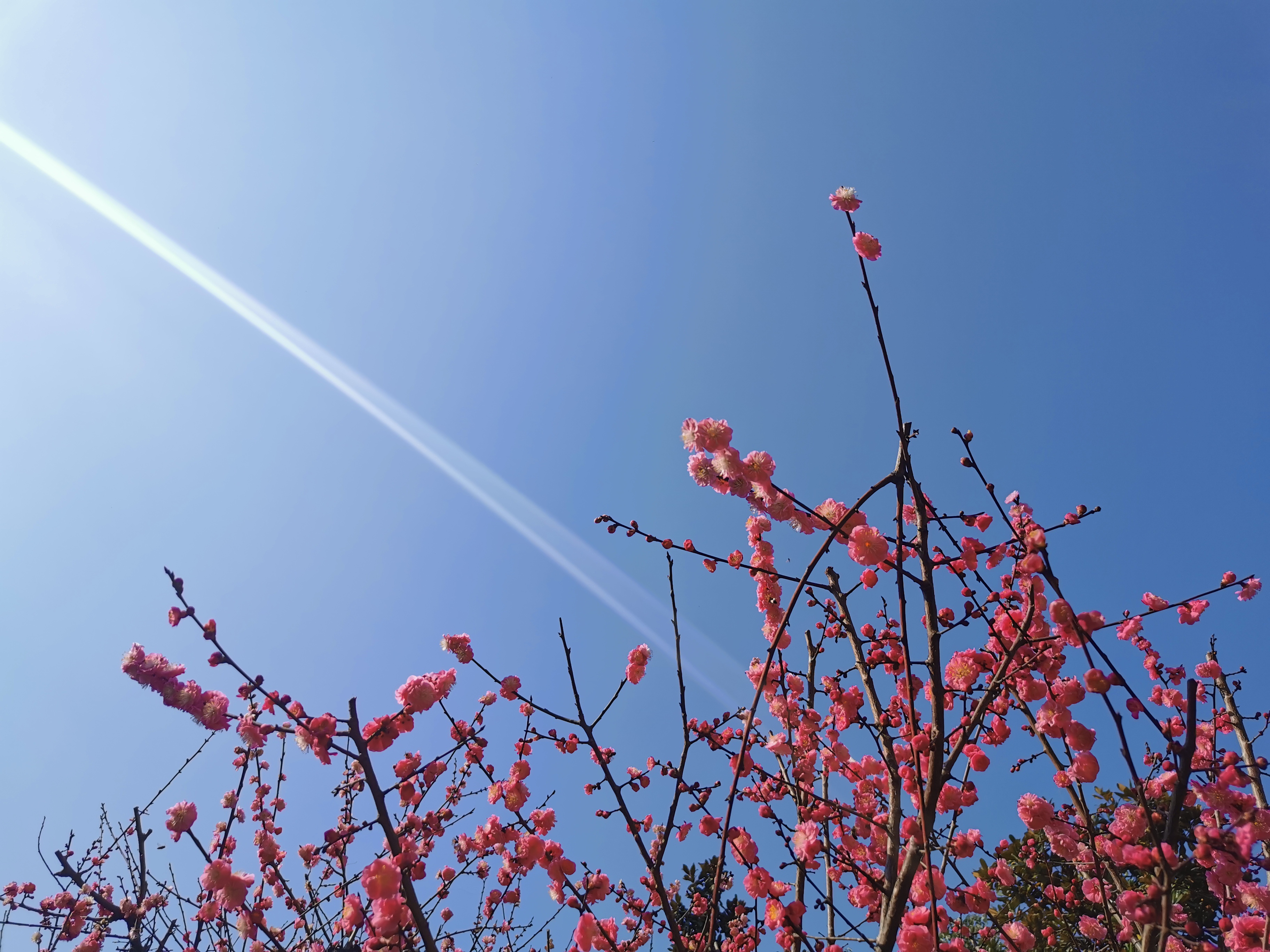 �������h䓡����M䓳ǣ�Ը����ʎ��