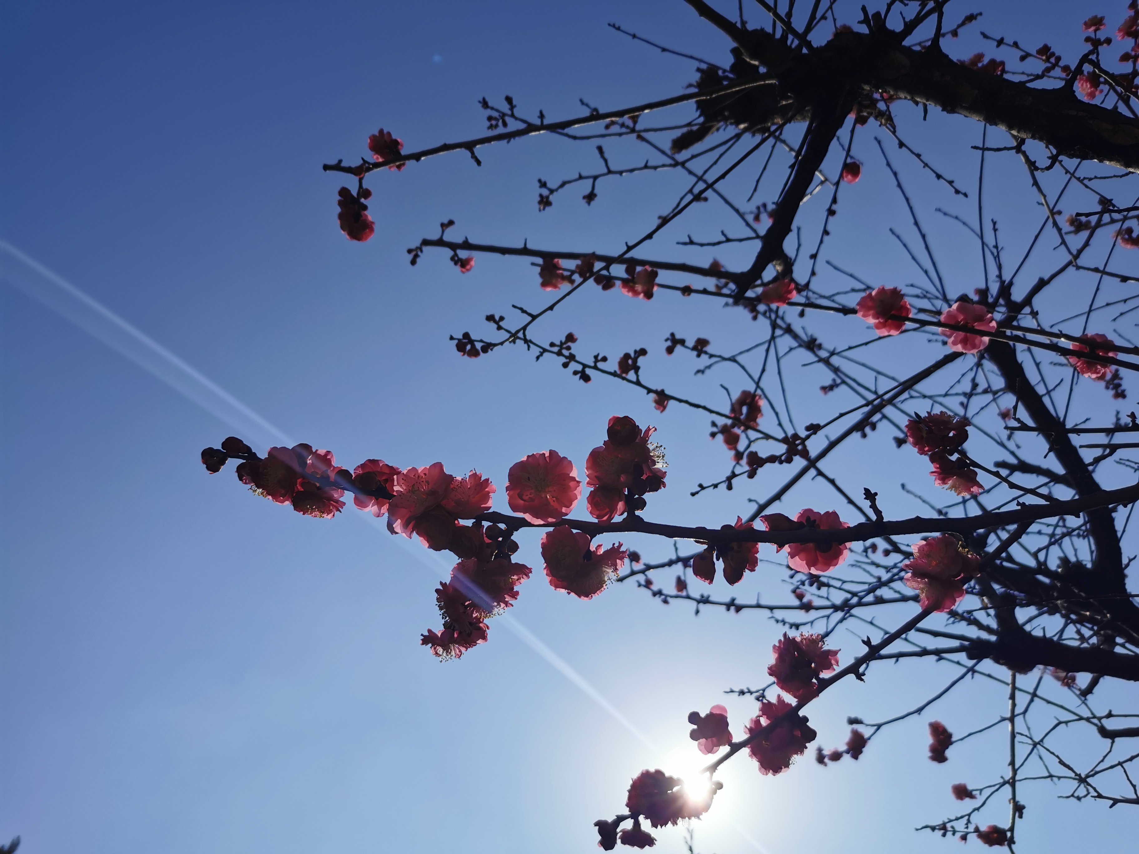 �������h䓡����M䓳ǣ�Ը����ʎ��