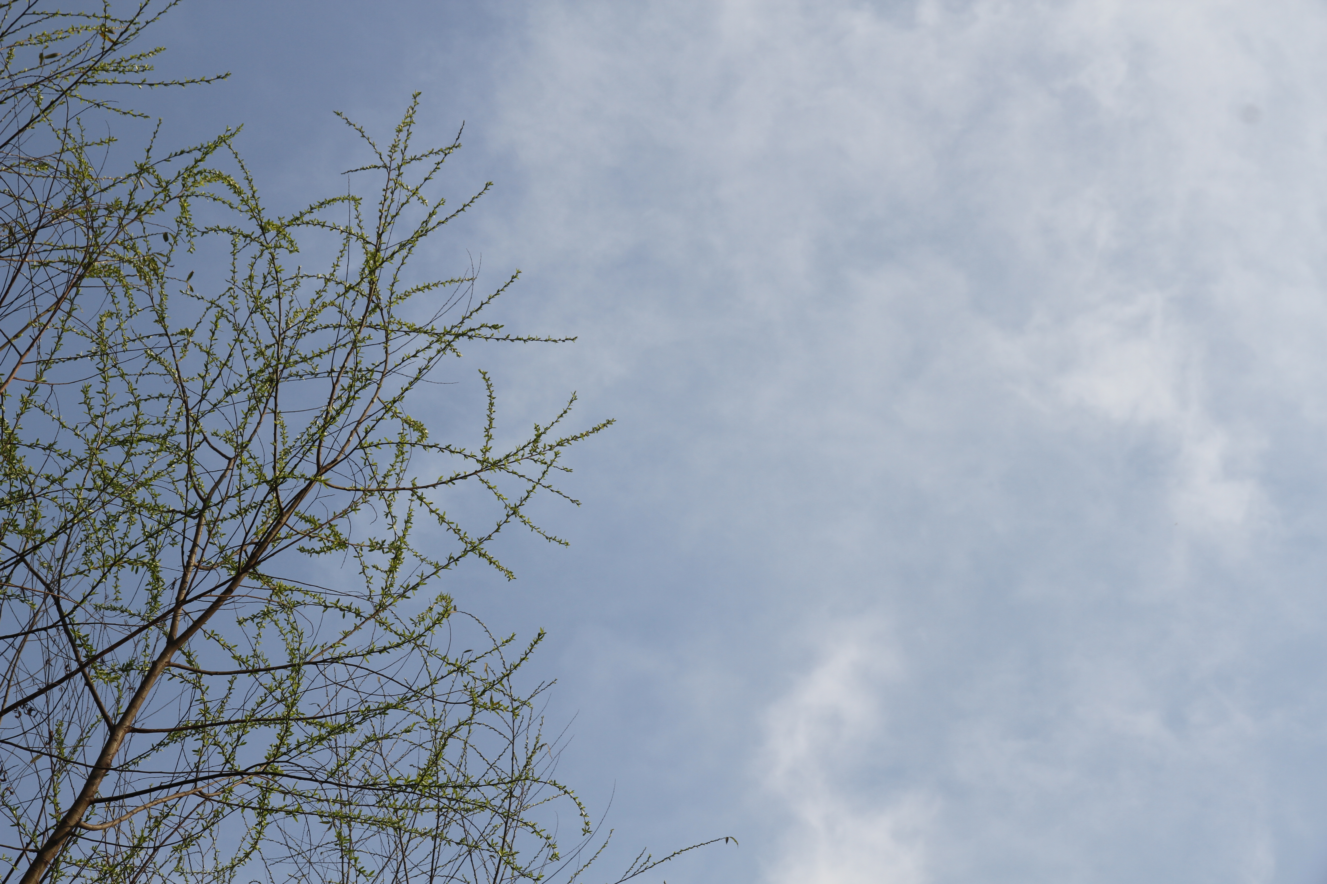 �������h䓡����M䓳ǣ�Ը����ʎ��