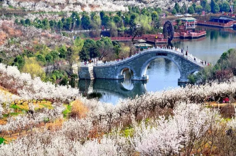 【鋼城文苑】我想和你在這春天里有個約會