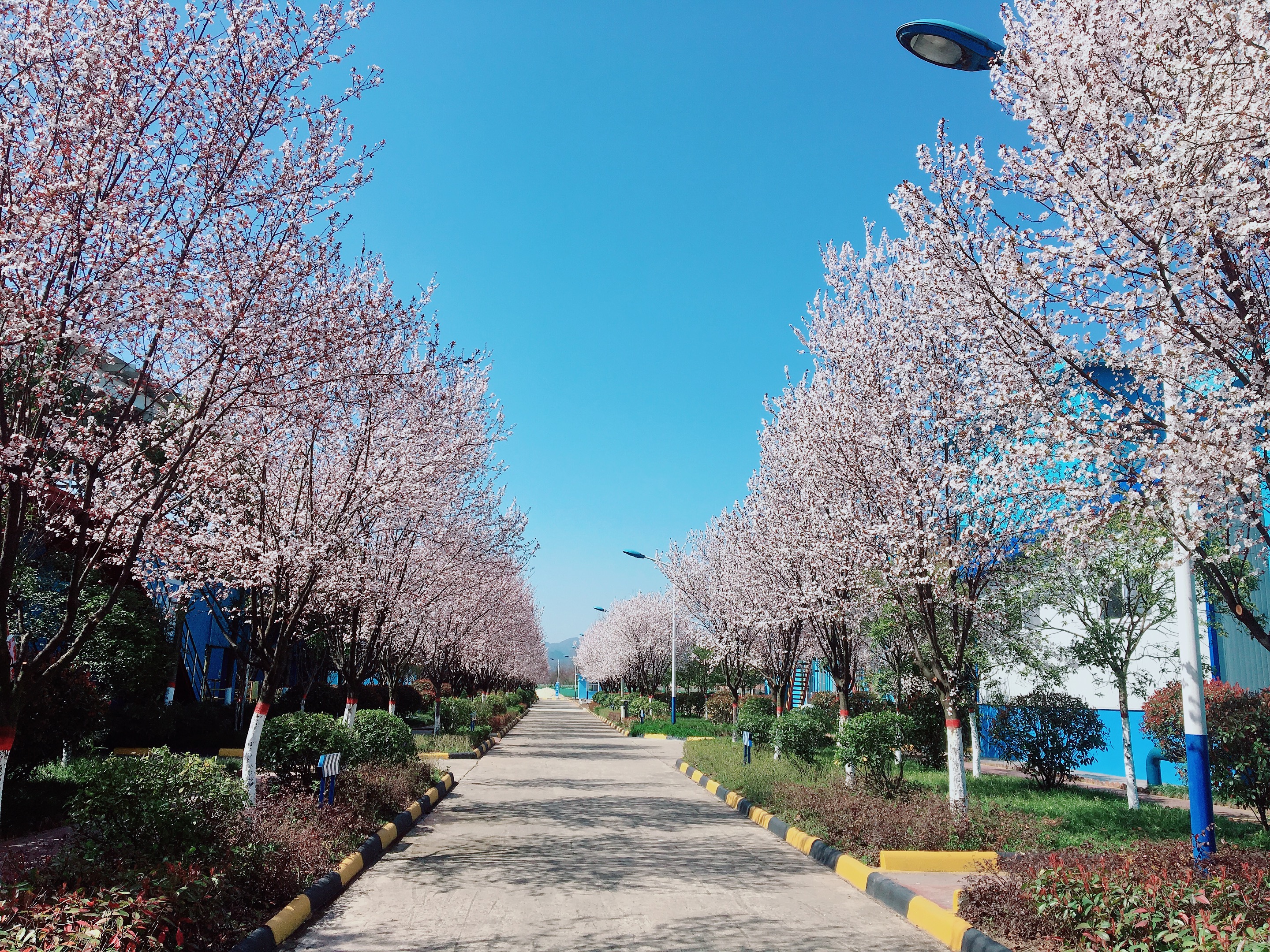 ��䓳���Է����Ҋ�^�@ô����䓏S�᣿