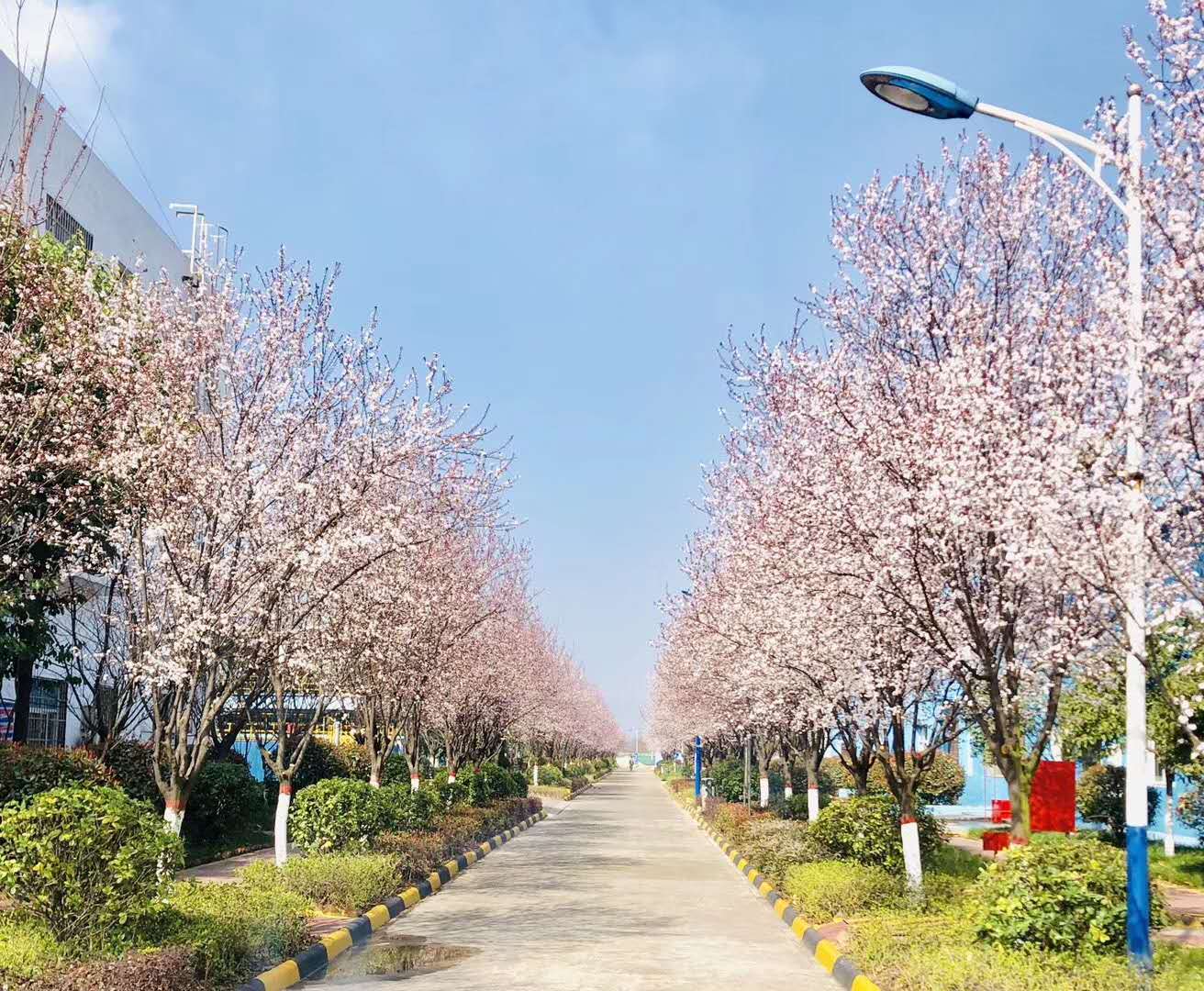 【鋼城文苑】你見過這么美的鋼廠嗎? 【鋼城文苑】你見過這么美的鋼廠嗎?