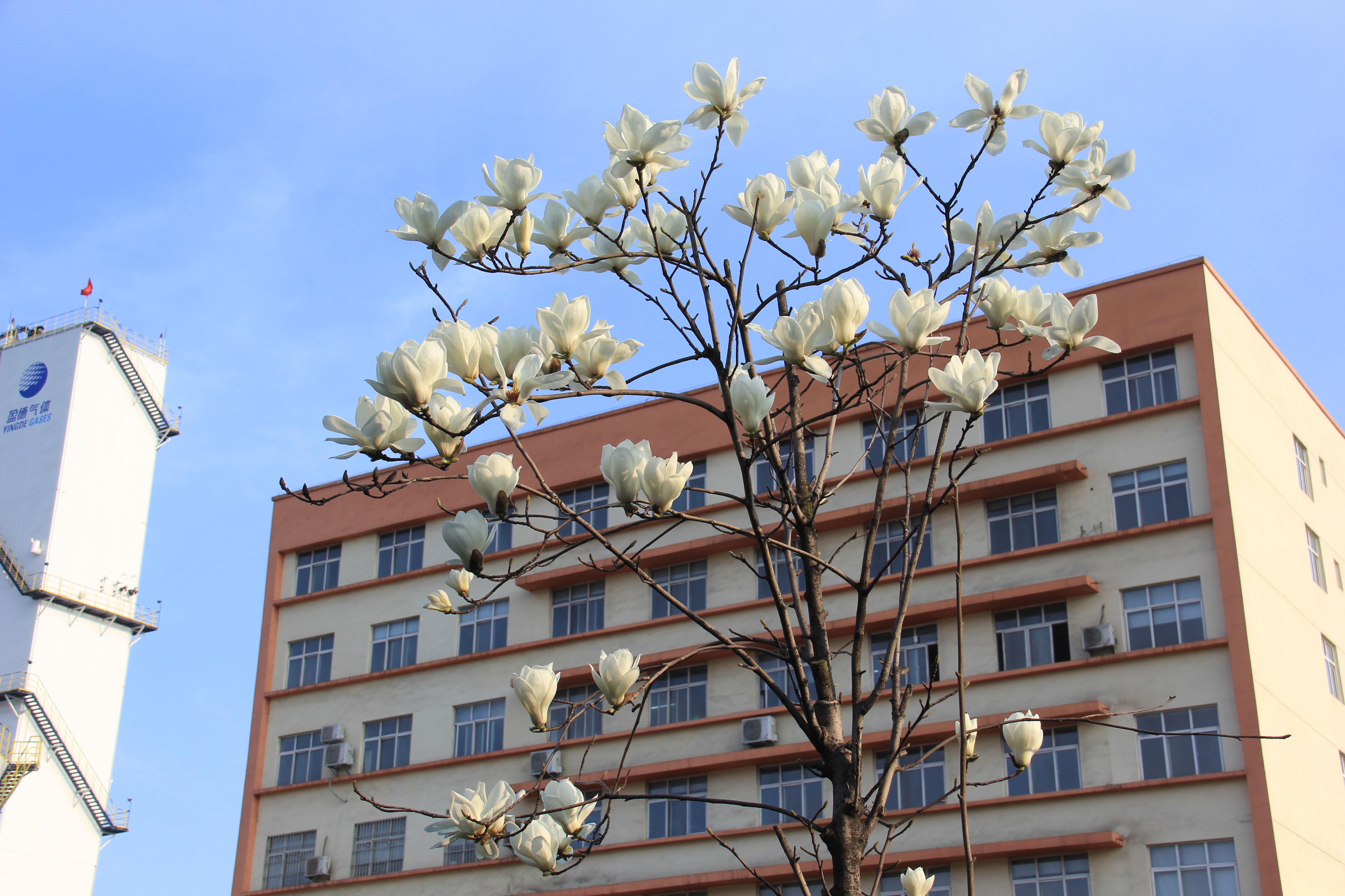 �������h䓡��������ݴ����  䓳����´��箋