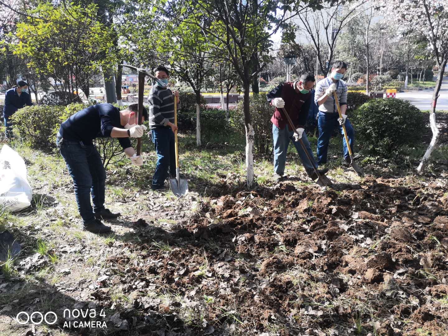 【美麗漢鋼】公司春季綠化美化工作開展如火如荼 【美麗漢鋼】公司春季綠化美化工作開展如火如荼
