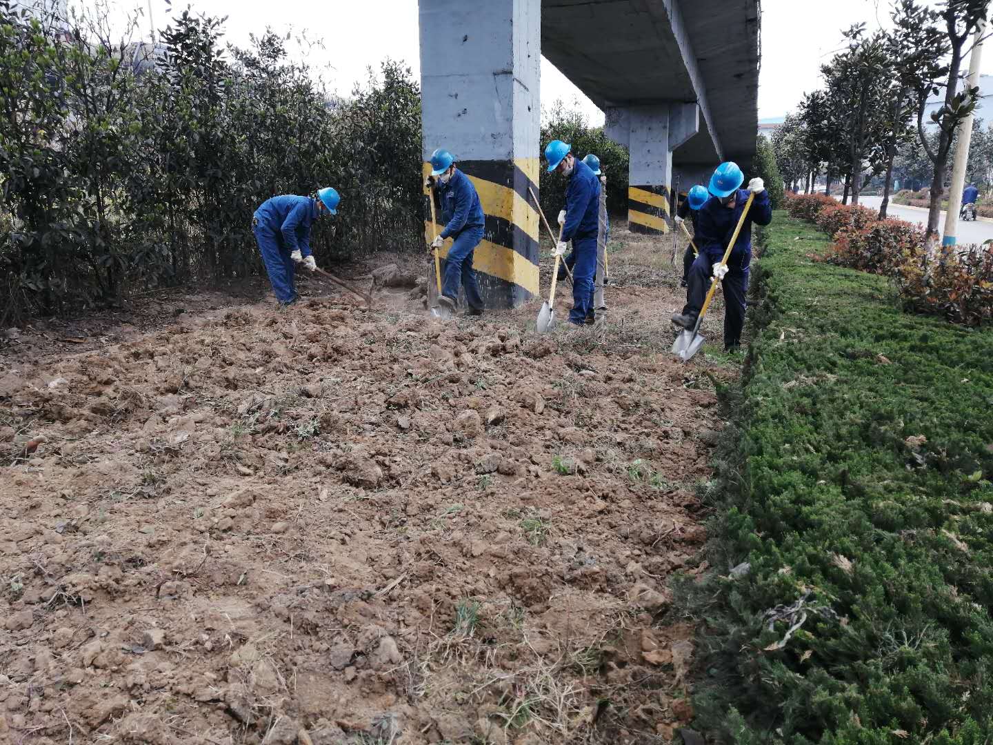 【美麗漢鋼】公司春季綠化美化工作開展如火如荼 【美麗漢鋼】公司春季綠化美化工作開展如火如荼