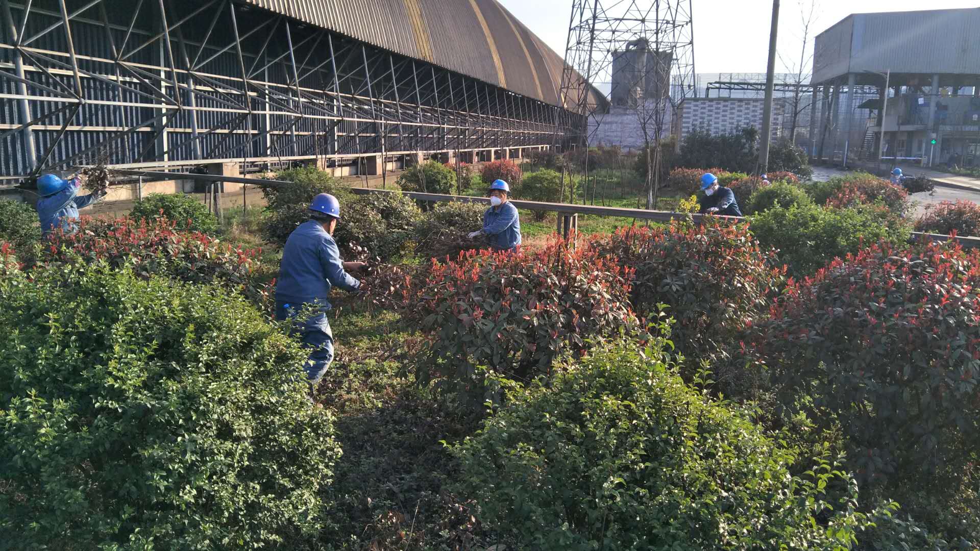 【美麗漢鋼】公司春季綠化美化工作開展如火如荼 【美麗漢鋼】公司春季綠化美化工作開展如火如荼