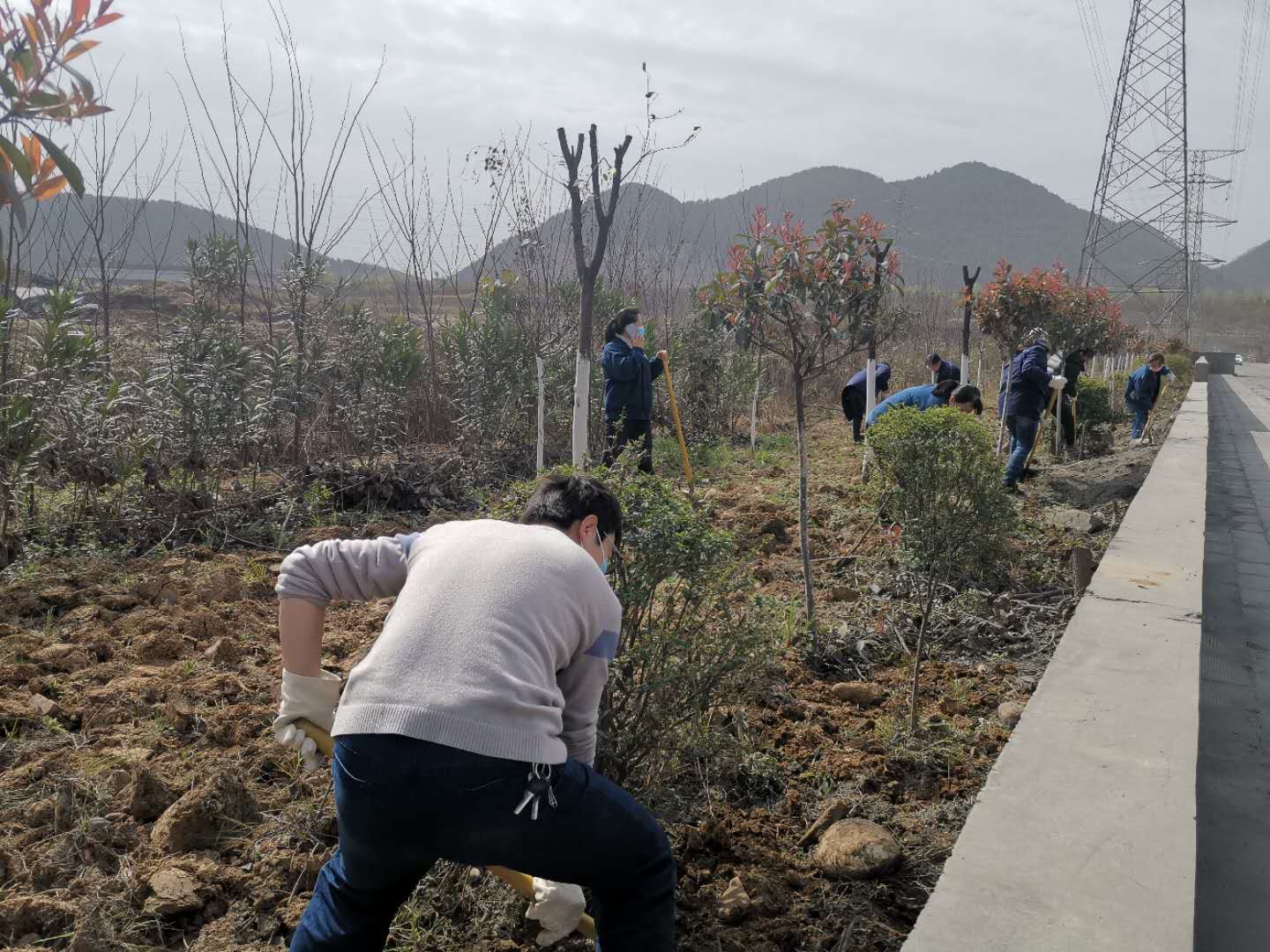 【美麗漢鋼】公司春季綠化美化工作開展如火如荼 【美麗漢鋼】公司春季綠化美化工作開展如火如荼