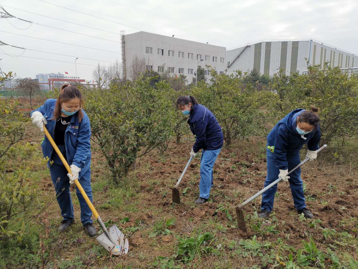 【美麗漢鋼】公司春季綠化美化工作開展如火如荼 【美麗漢鋼】公司春季綠化美化工作開展如火如荼