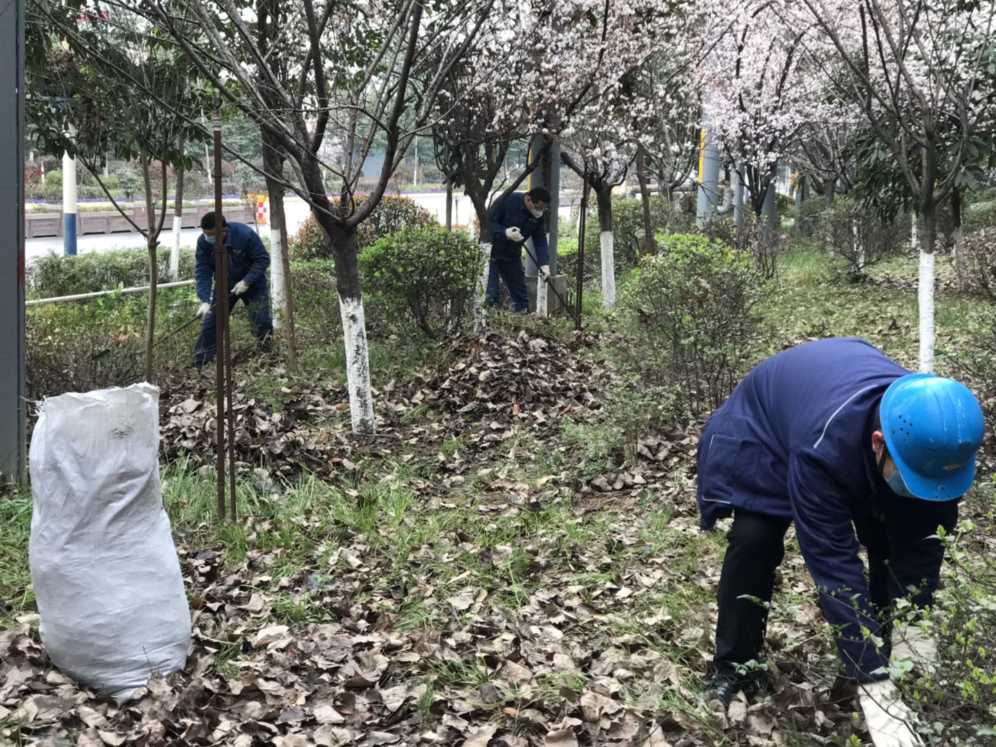 【美麗漢鋼】公司春季綠化美化工作開展如火如荼 【美麗漢鋼】公司春季綠化美化工作開展如火如荼