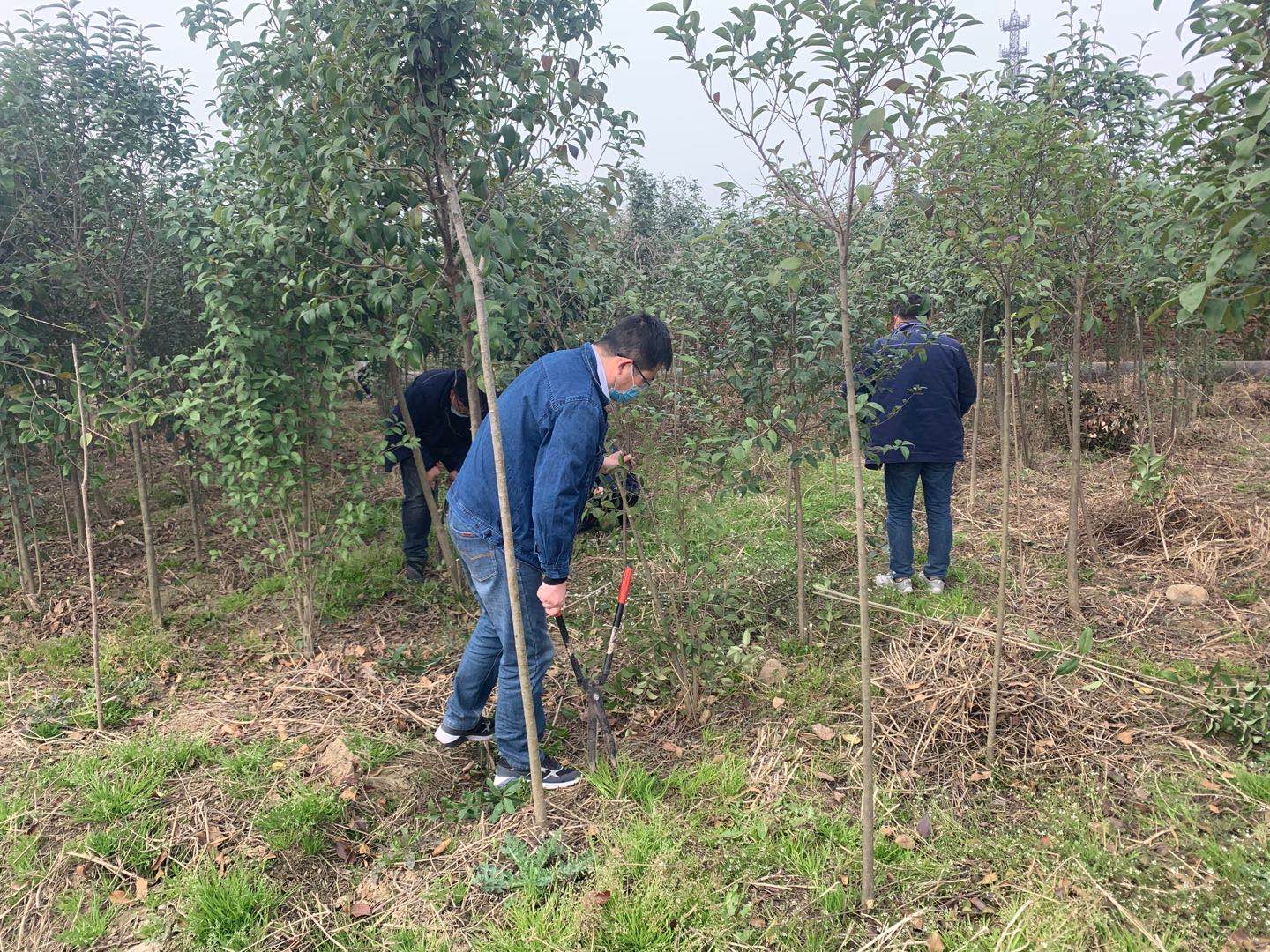 【美麗漢鋼】公司春季綠化美化工作開展如火如荼 【美麗漢鋼】公司春季綠化美化工作開展如火如荼
