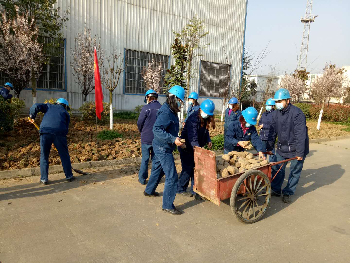 【美麗漢鋼】植樹節(jié),我們?cè)谛袆?dòng) 【美麗漢鋼】植樹節(jié),我們?cè)谛袆?dòng)