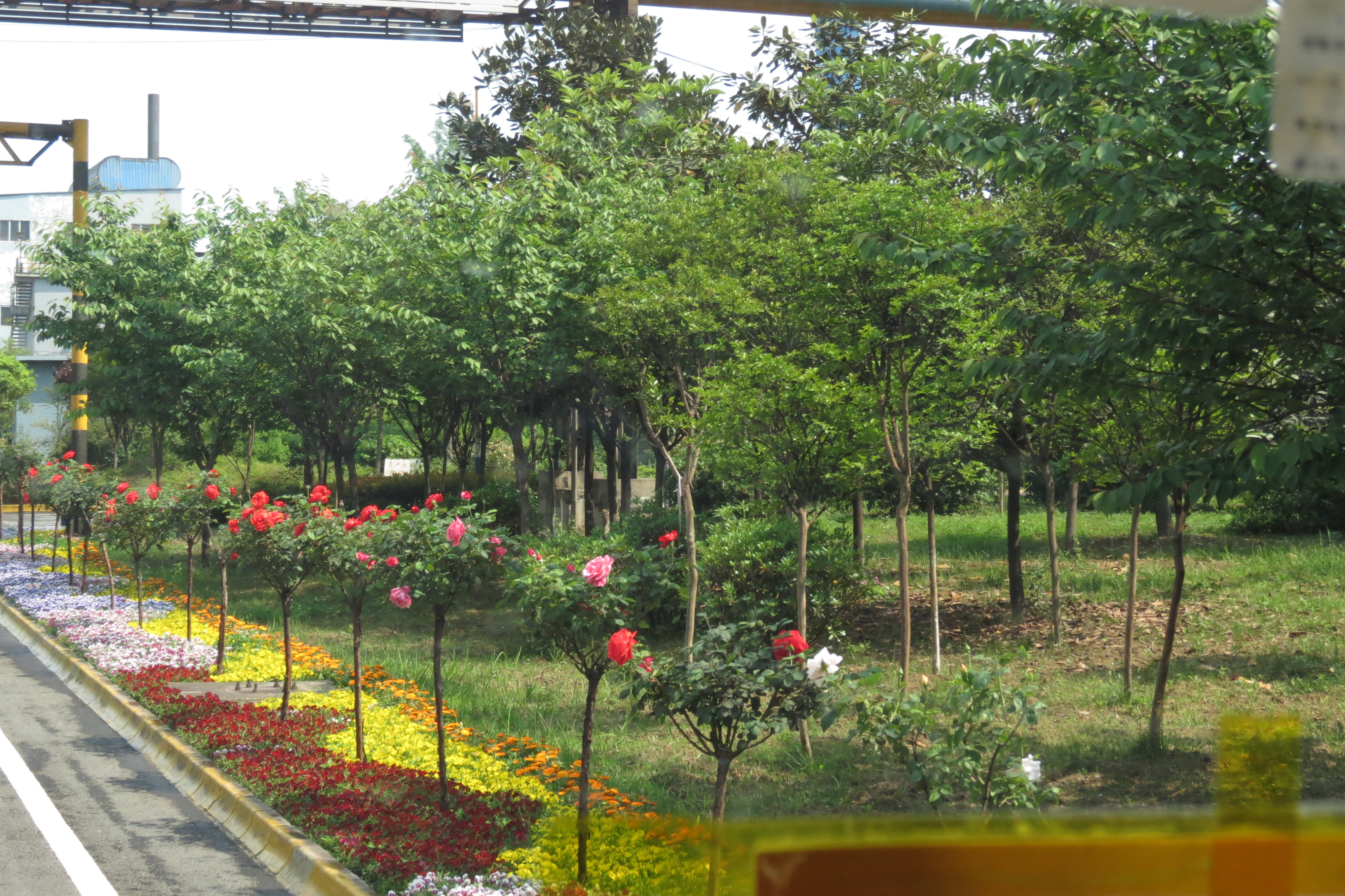 【美麗漢鋼】漢鋼踏春賞花圖鑒 【美麗漢鋼】漢鋼踏春賞花圖鑒