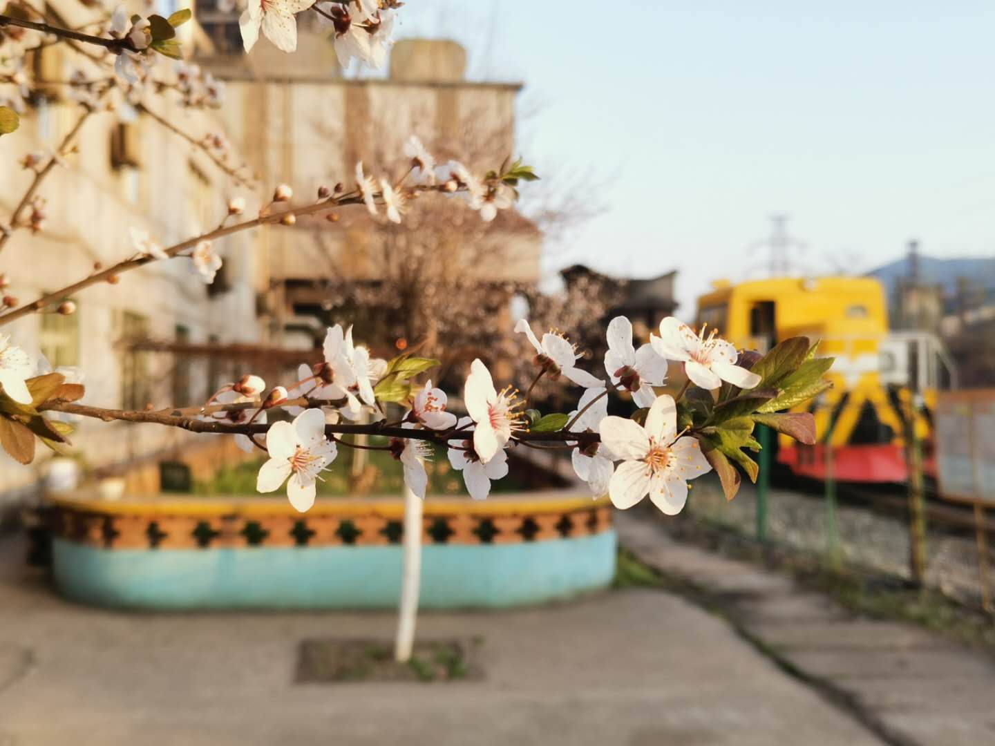 【鋼城文苑】鑄·春