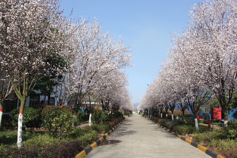 �������h䓡��ù��ܭh���c���hˮ֮�I�������F�����@��