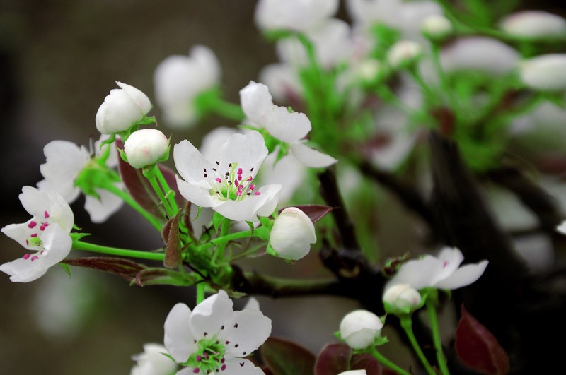 ��䓳���Է�������_���D�y������