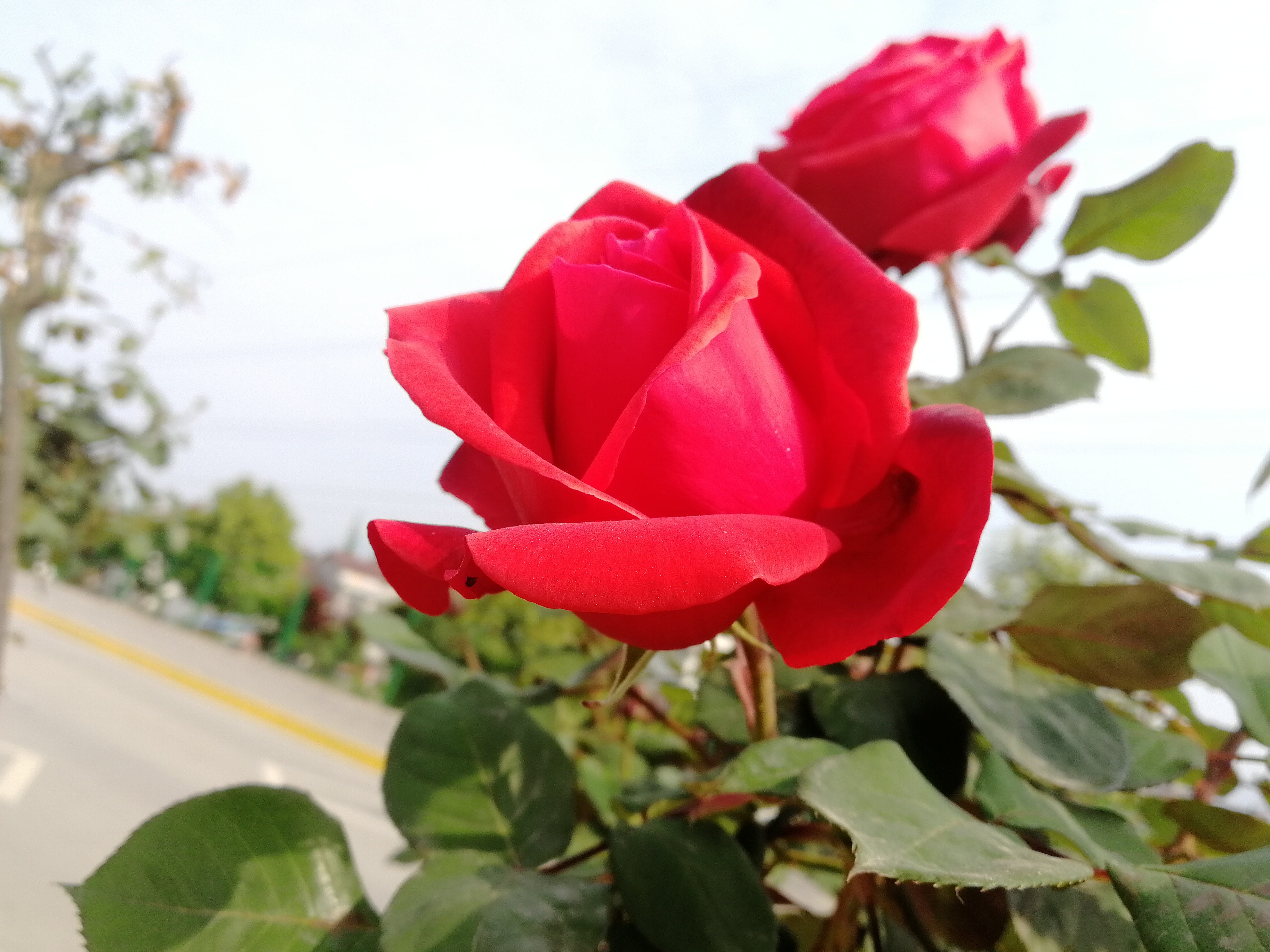 �������h䓡��p�ߗU�¼����������h�