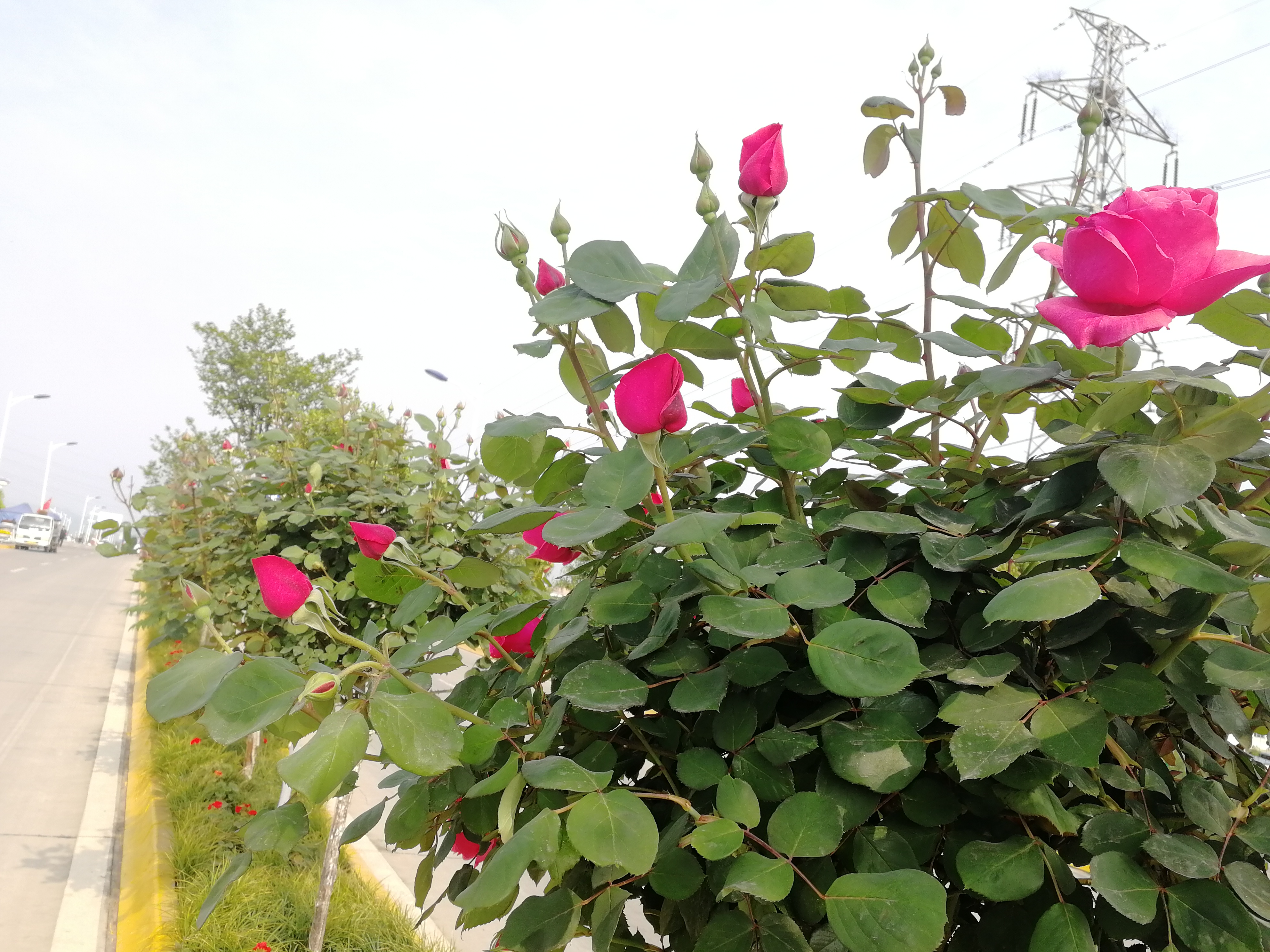 �������h䓡��p�ߗU�¼����������h�