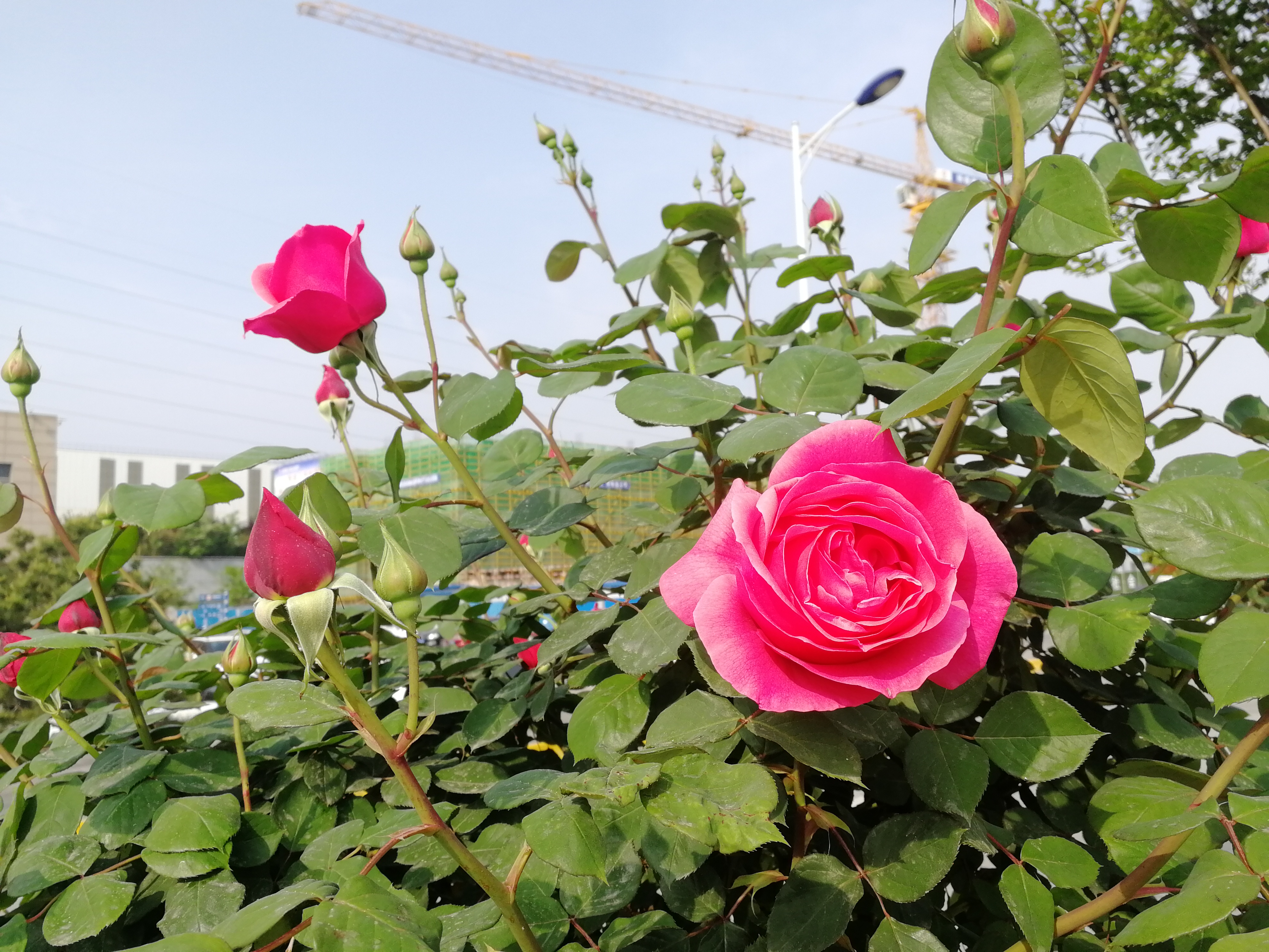 �������h䓡��p�ߗU�¼����������h�