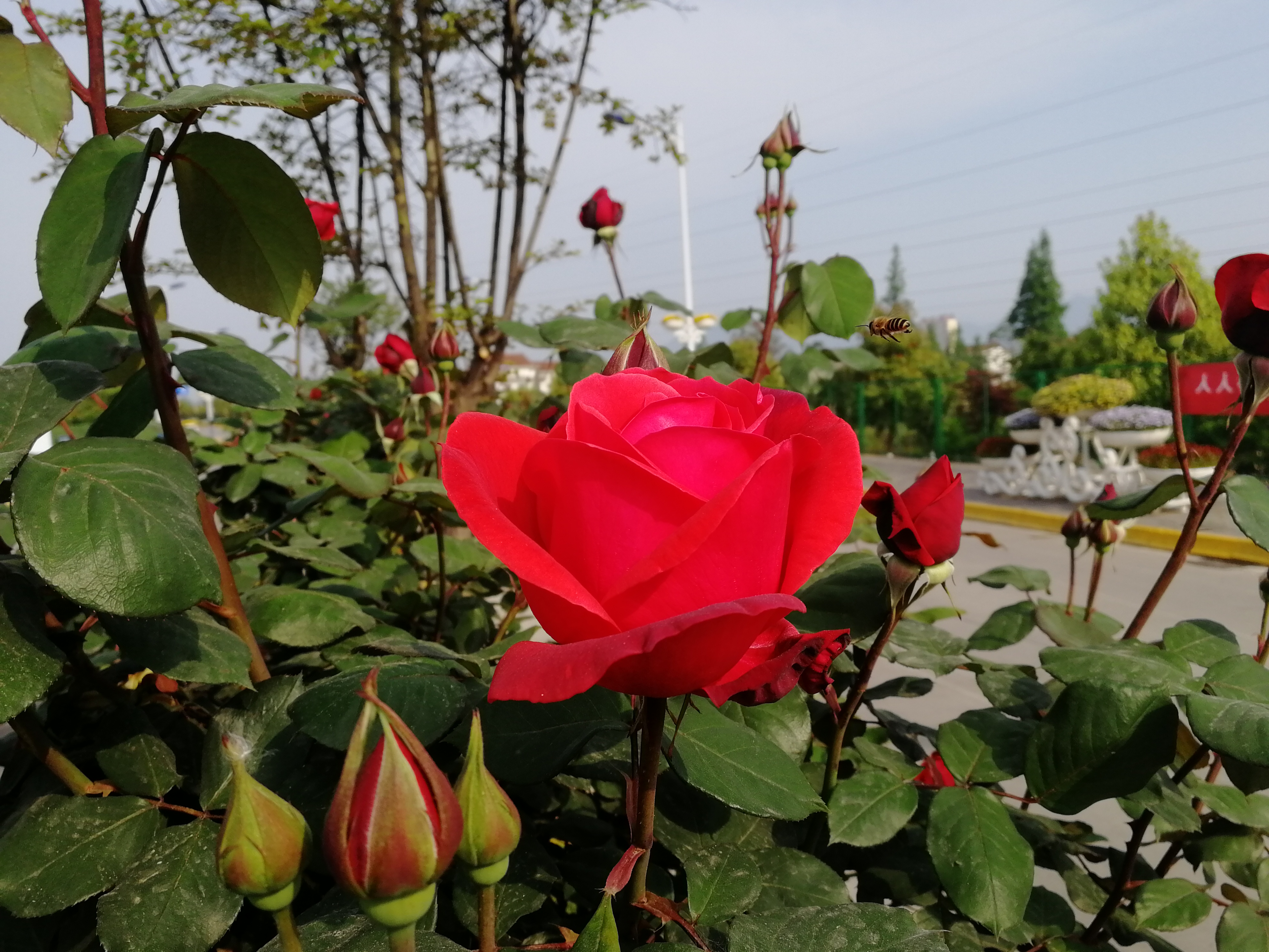 �������h䓡��p�ߗU�¼����������h�