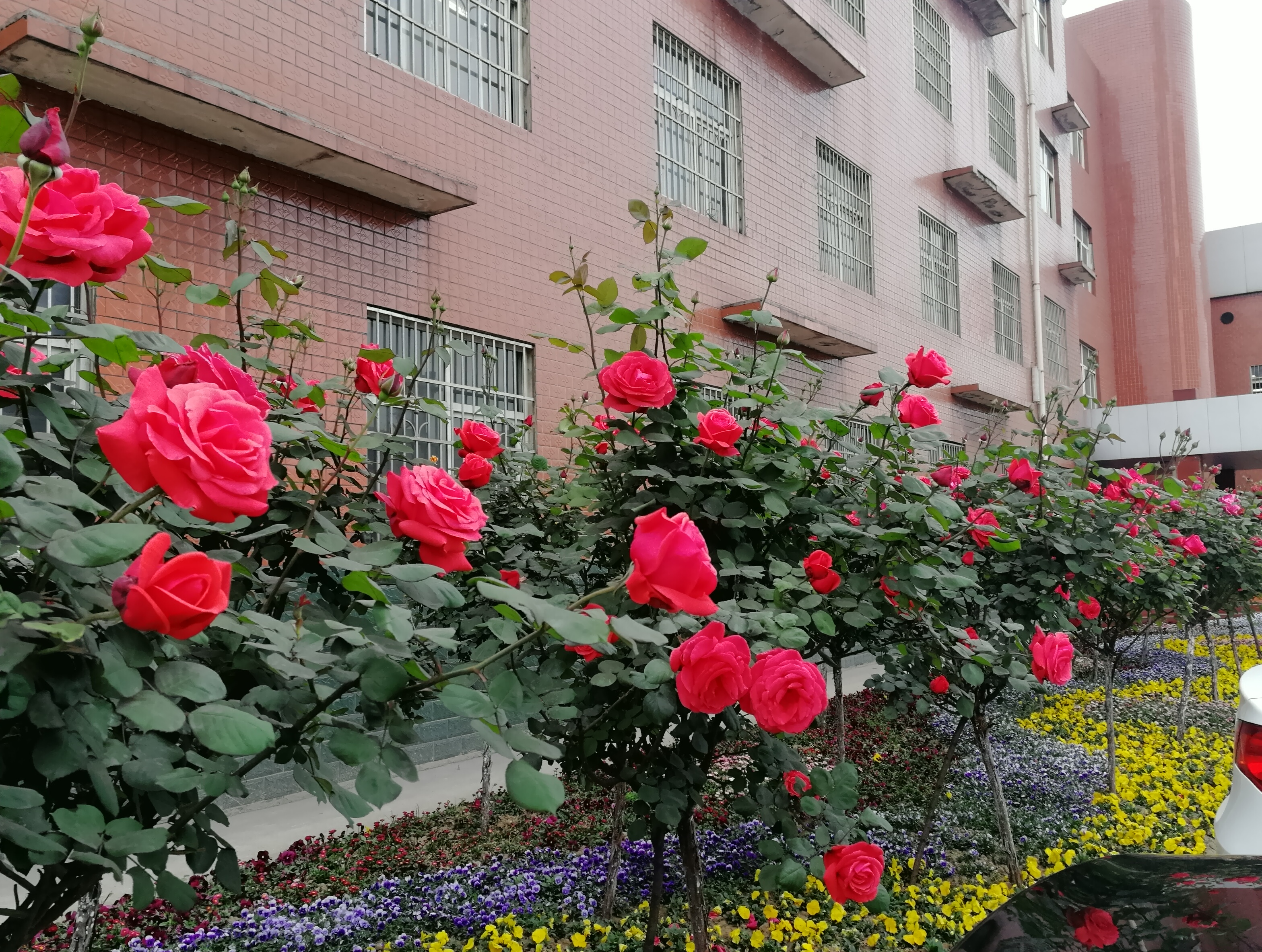 �������h䓡��p�ߗU�¼����������h�