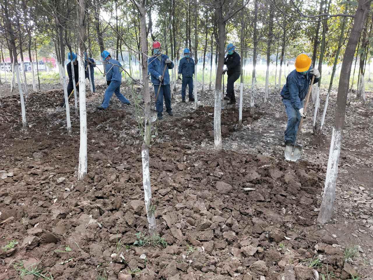 �������h䓡���˾��벢�e ���ô����G����ľ�B�o����