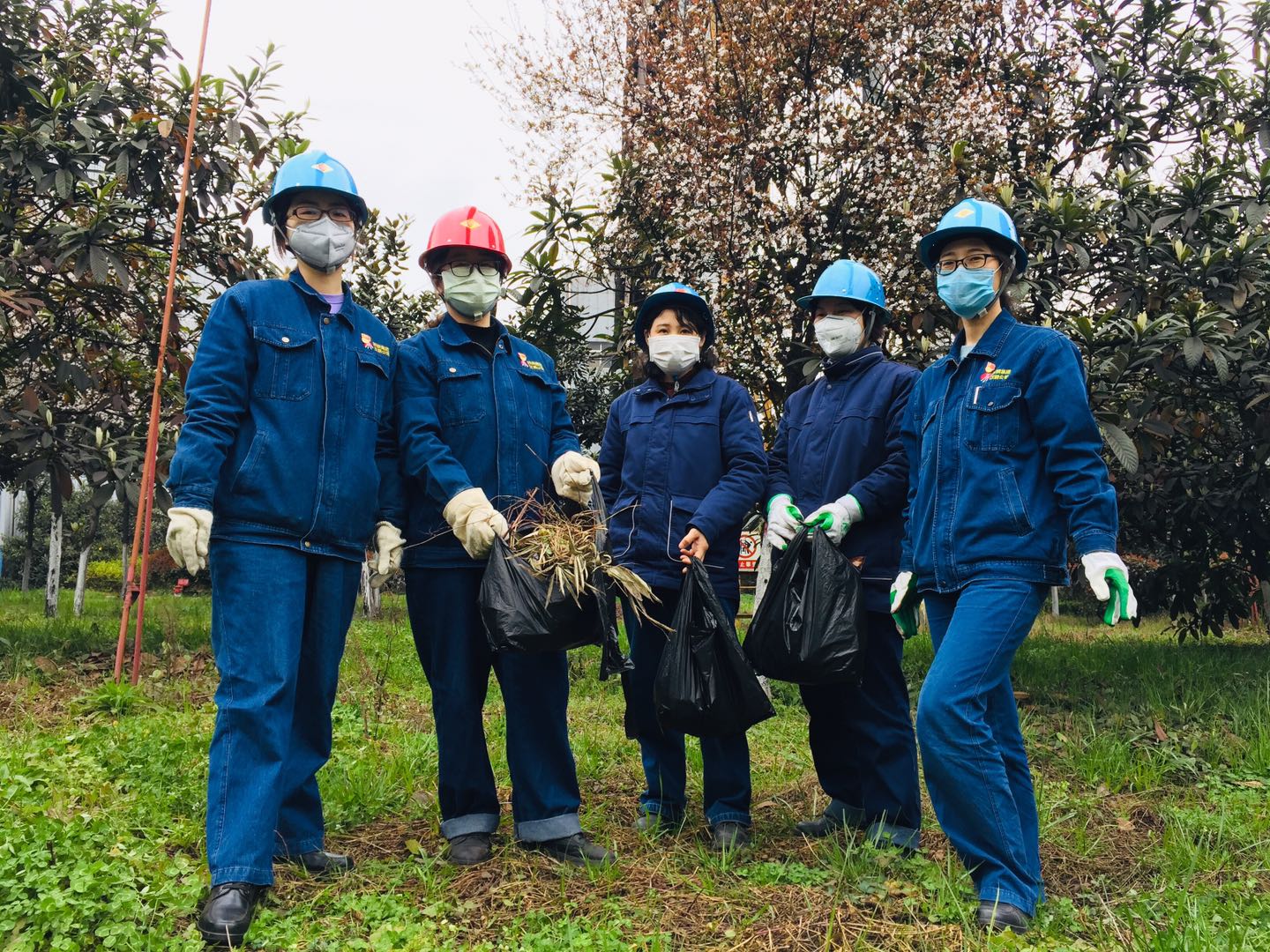 【美麗漢鋼】公司多措并舉 做好春季綠化苗木養護工作 【美麗漢鋼】公司多措并舉 做好春季綠化苗木養護工作