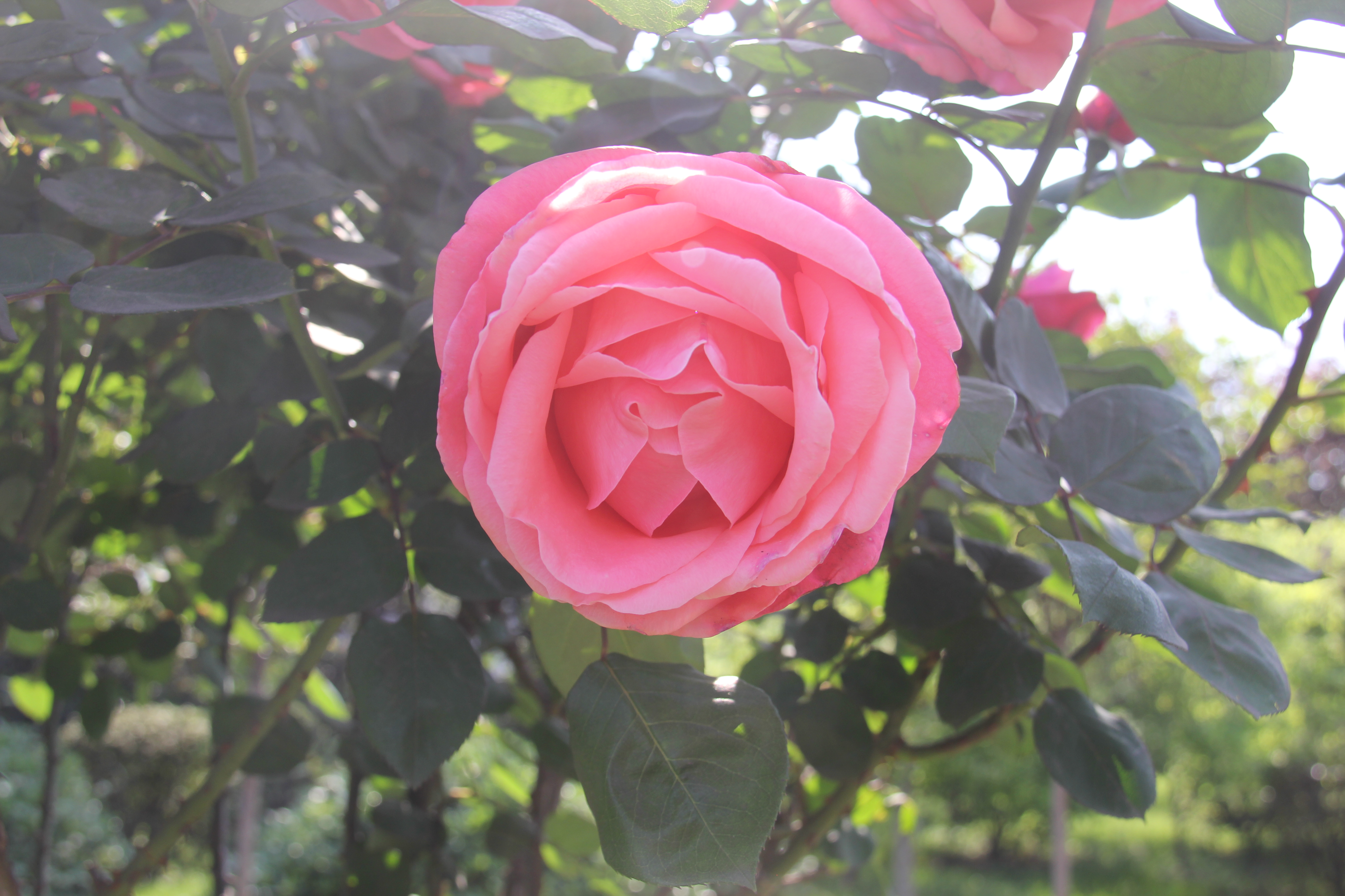 �������h䓡������h�������