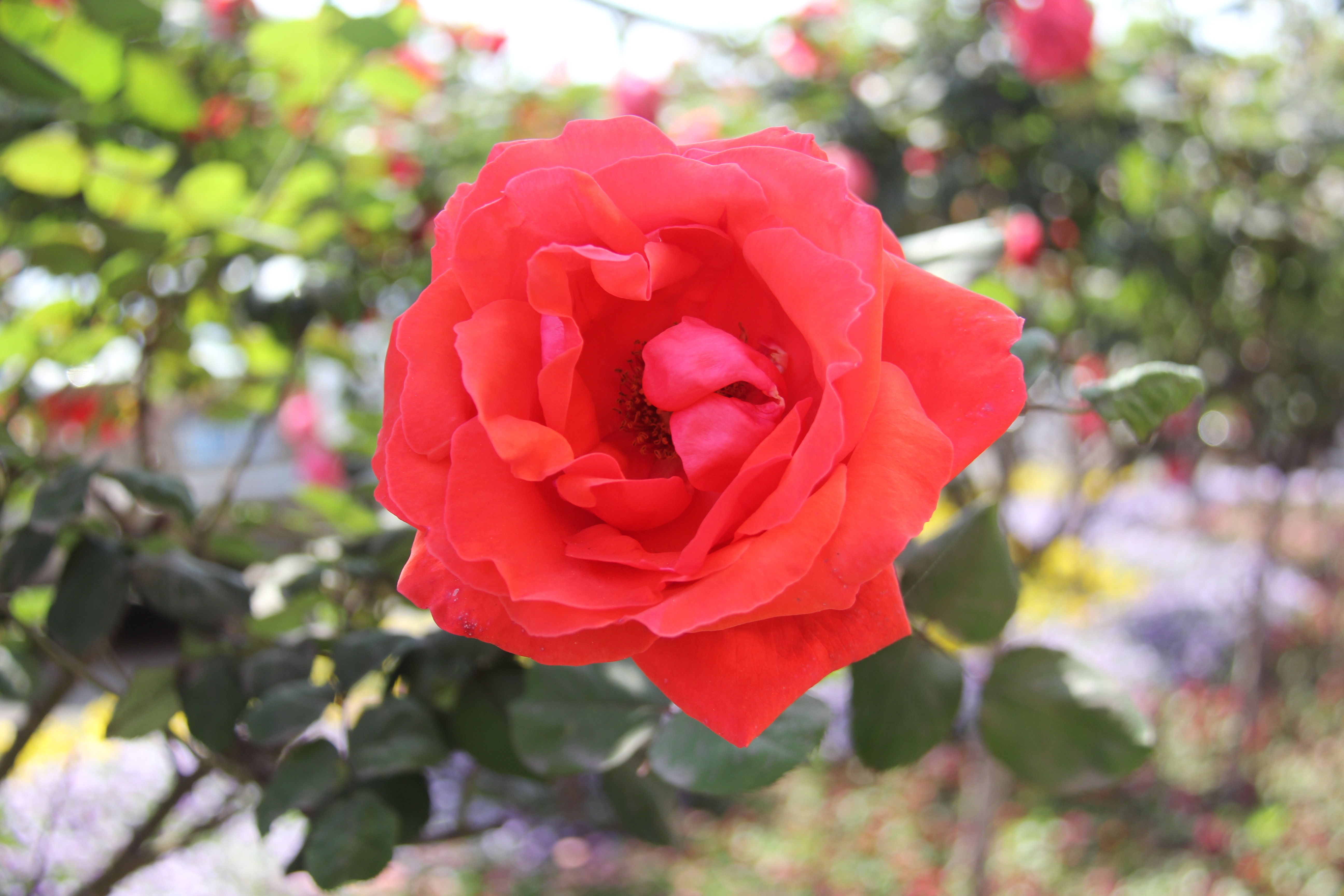 �������h䓡������h�������