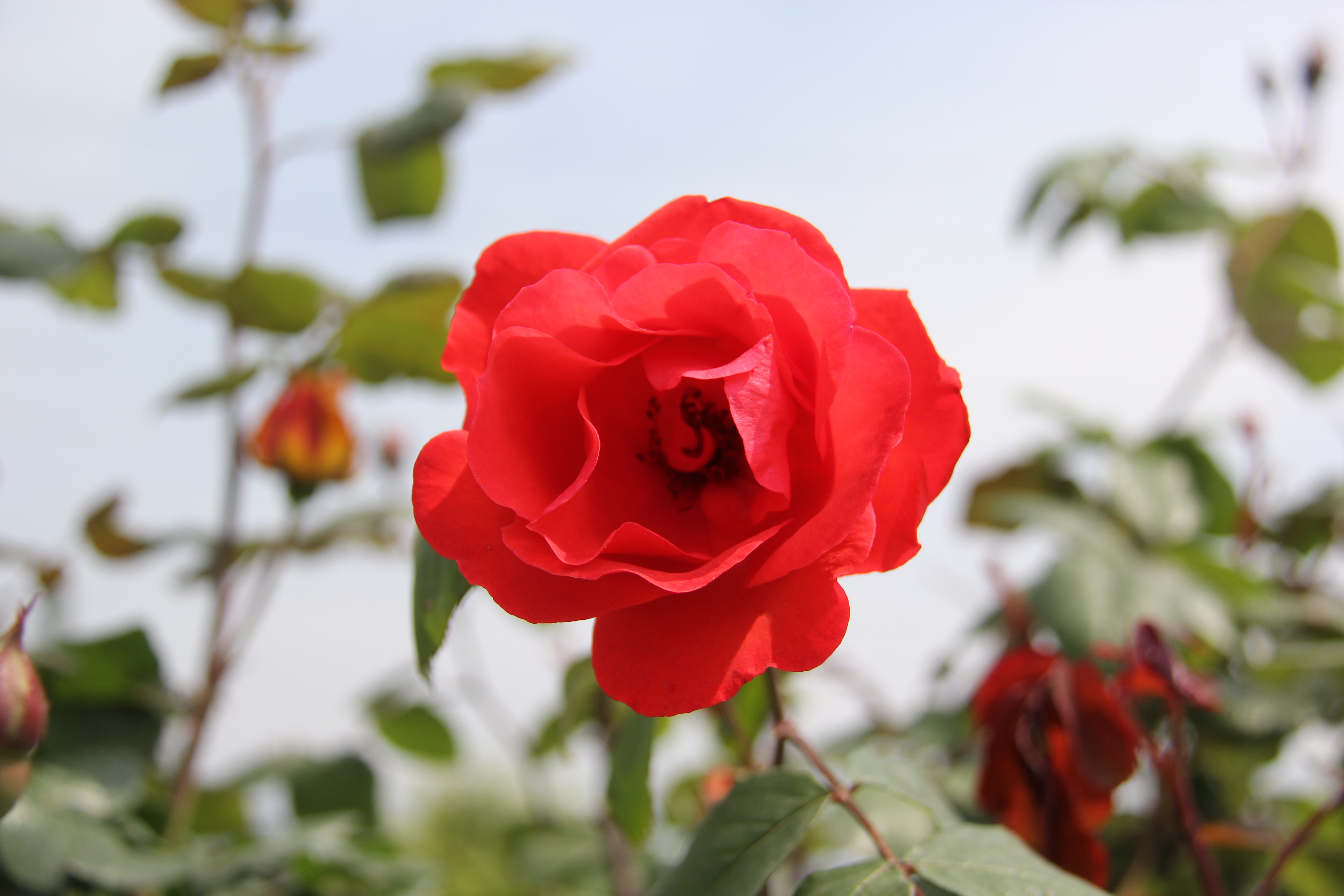 �������h䓡������h�������