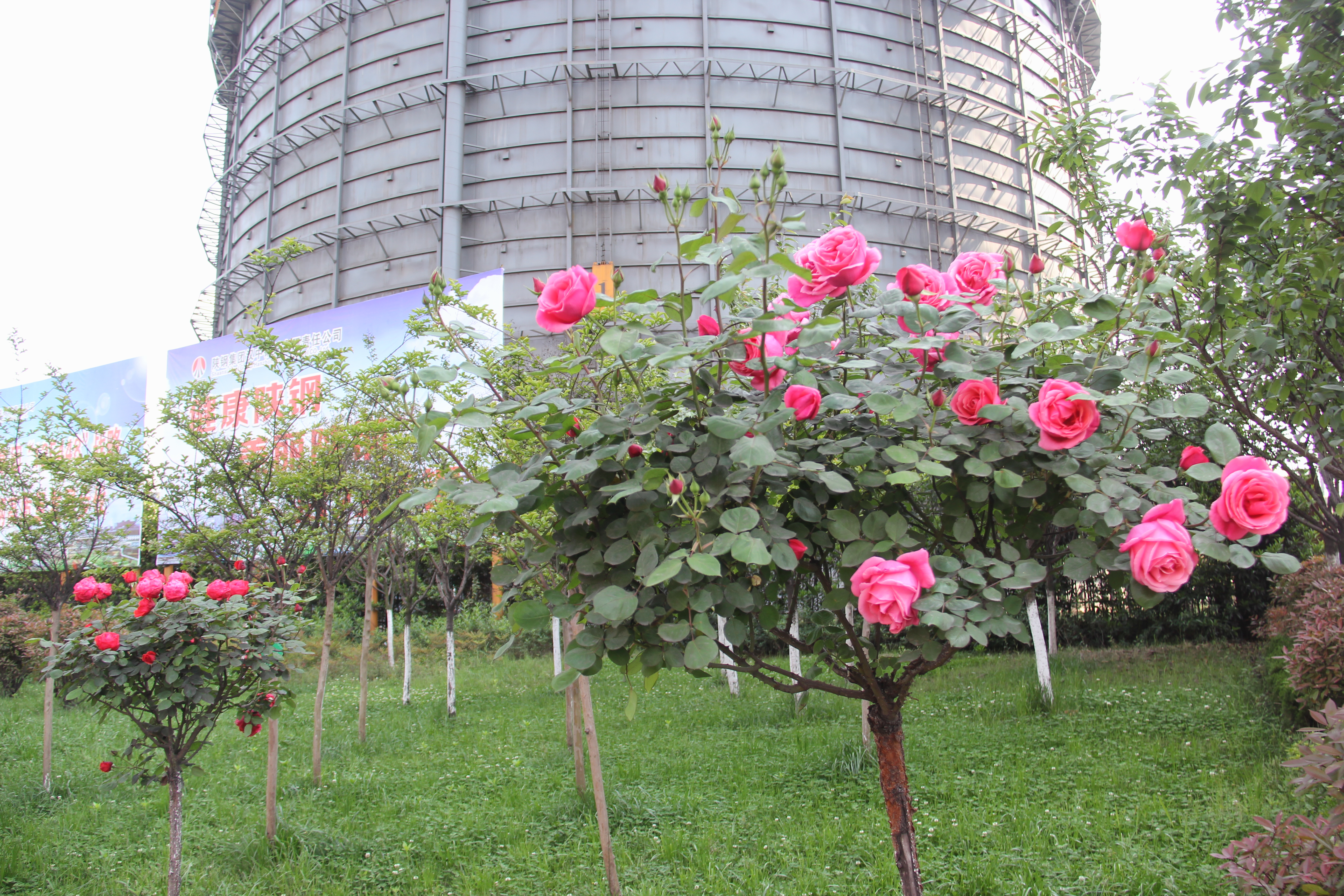 �������h䓡������h�������