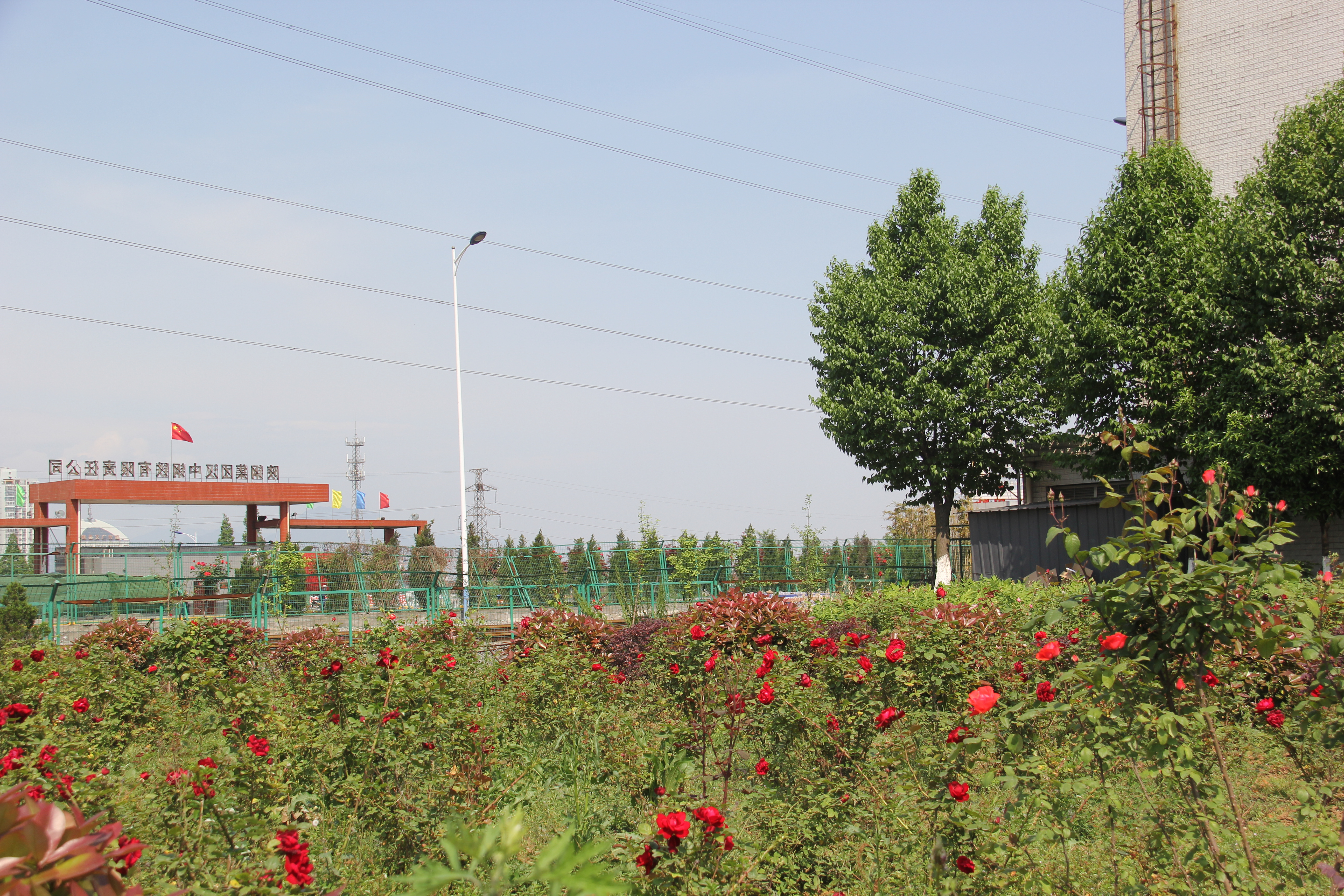 �������h䓡������h�������