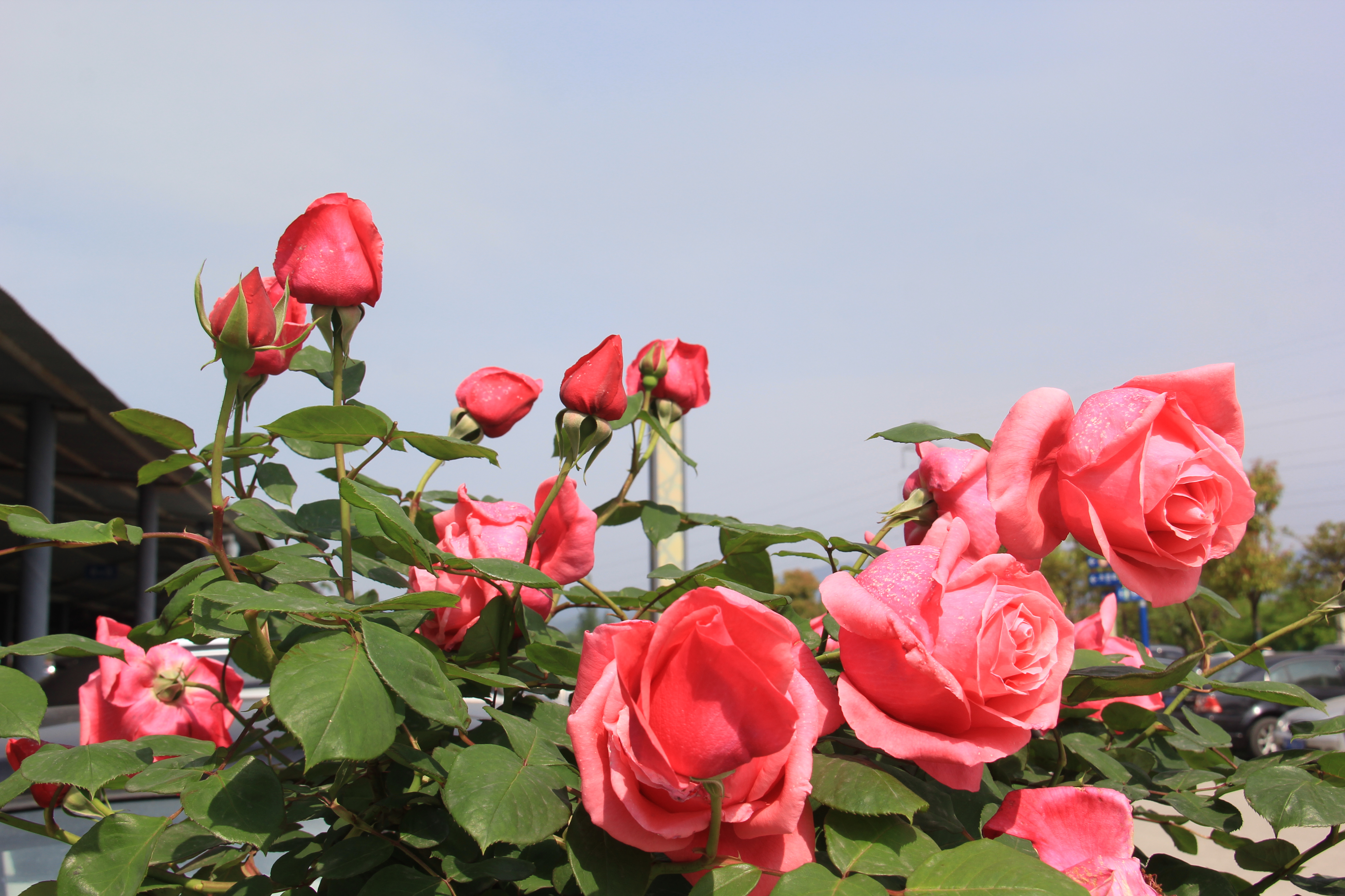 �������h䓡������h�������